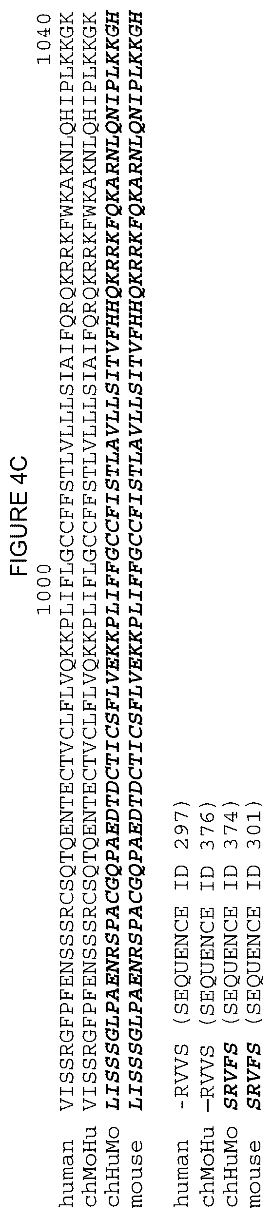 Patent US12378312 Figure 16 – Polynucleotides encoding human beta klotho antibodies or binding fragments thereof and methods of use thereof