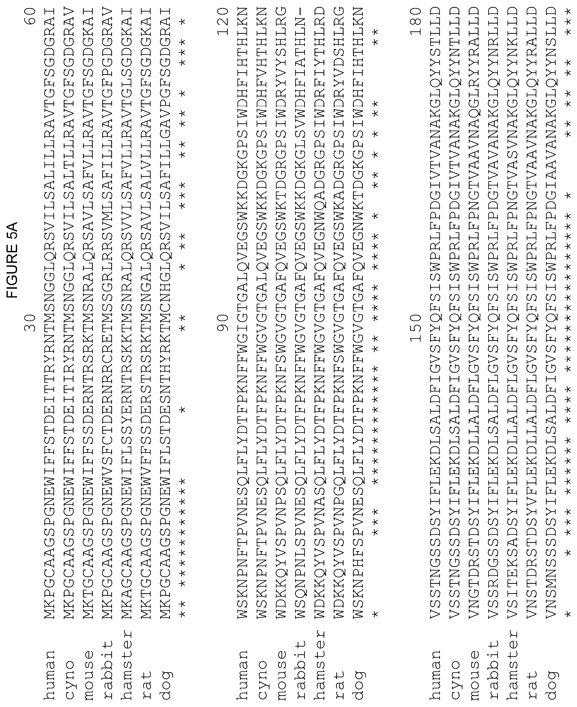 Patent US12378312 Figure 17 – Polynucleotides encoding human beta klotho antibodies or binding fragments thereof and methods of use thereof