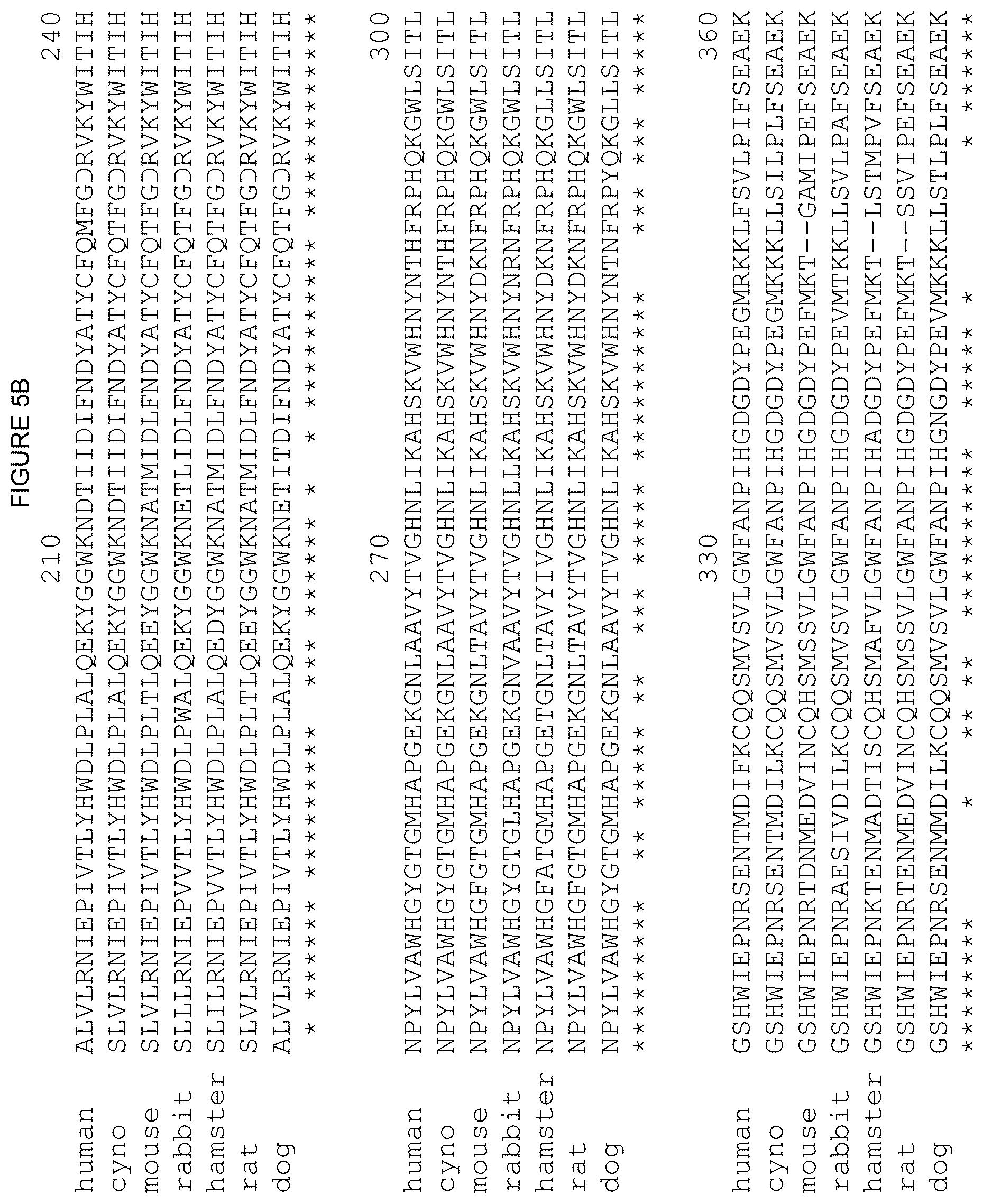 Patent US12378312 Figure 18 – Polynucleotides encoding human beta klotho antibodies or binding fragments thereof and methods of use thereof