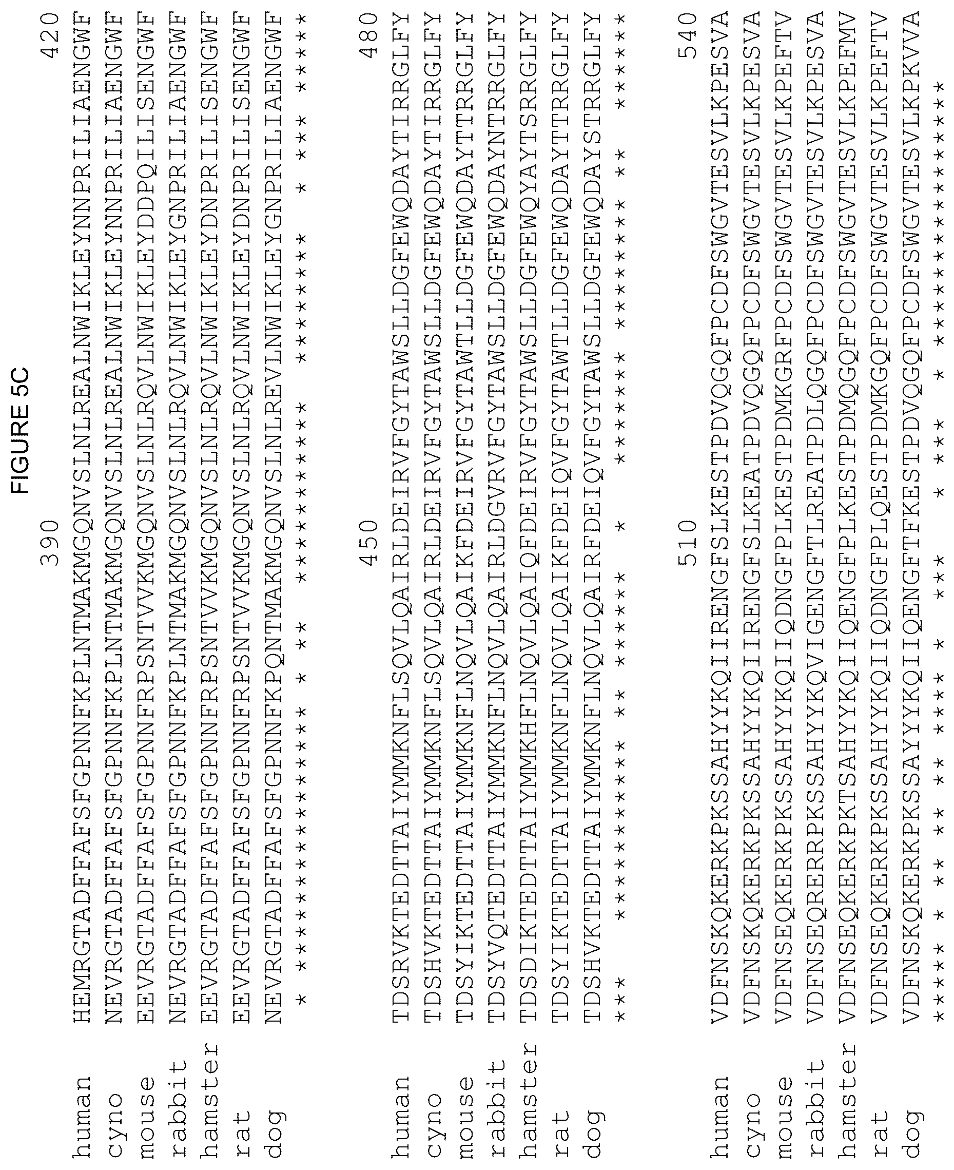 Patent US12378312 Figure 19 – Polynucleotides encoding human beta klotho antibodies or binding fragments thereof and methods of use thereof