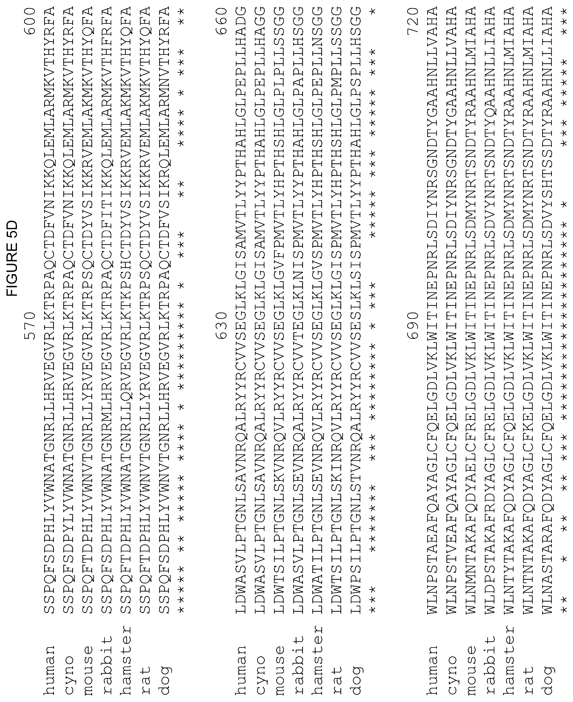 Patent US12378312 Figure 20 – Polynucleotides encoding human beta klotho antibodies or binding fragments thereof and methods of use thereof