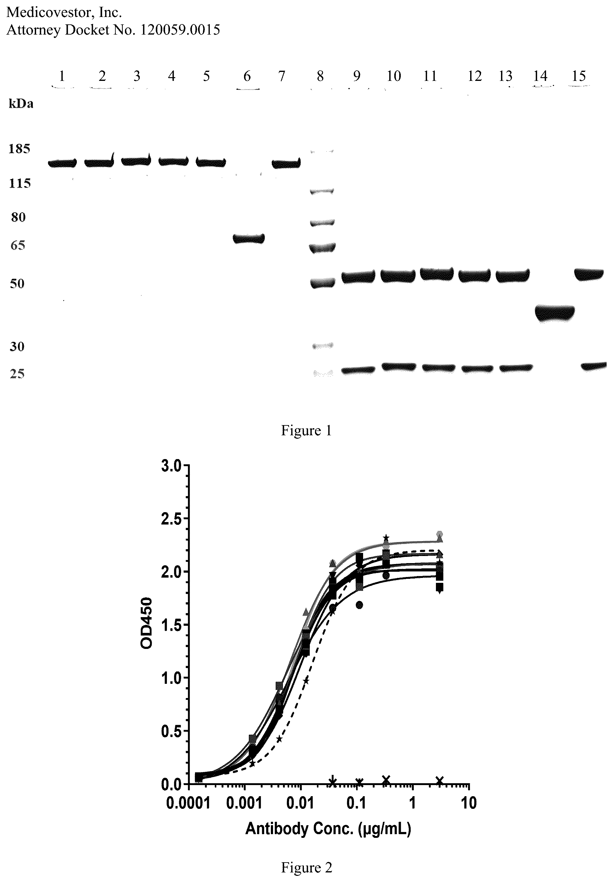 Patent US12378314 Figure 1 – Proteins that bind folate receptor alpha including fully-human antibodies