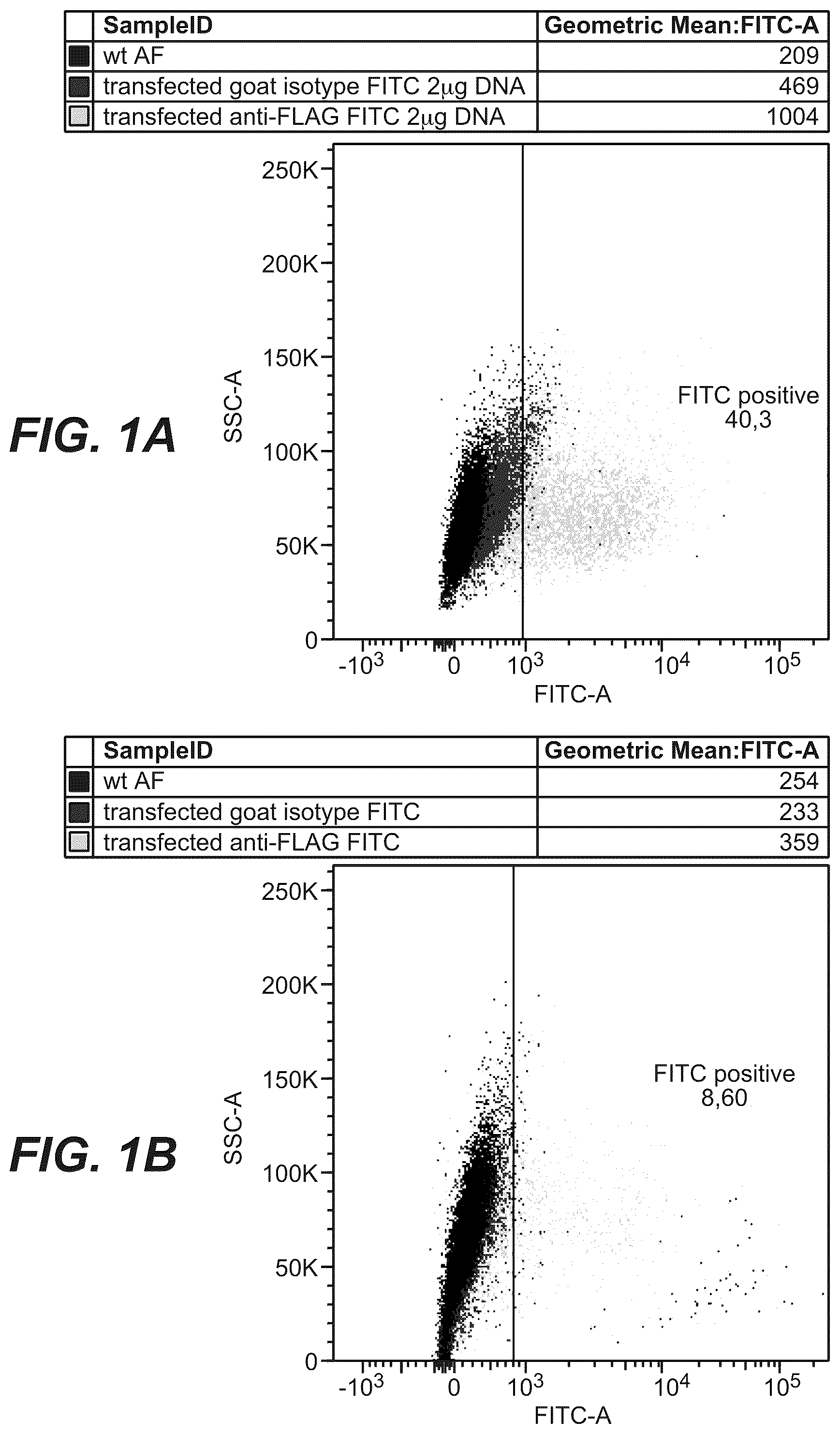 Patent US12378315 Figure 1 – Anti-rabbit CD19 antibodies and methods of use