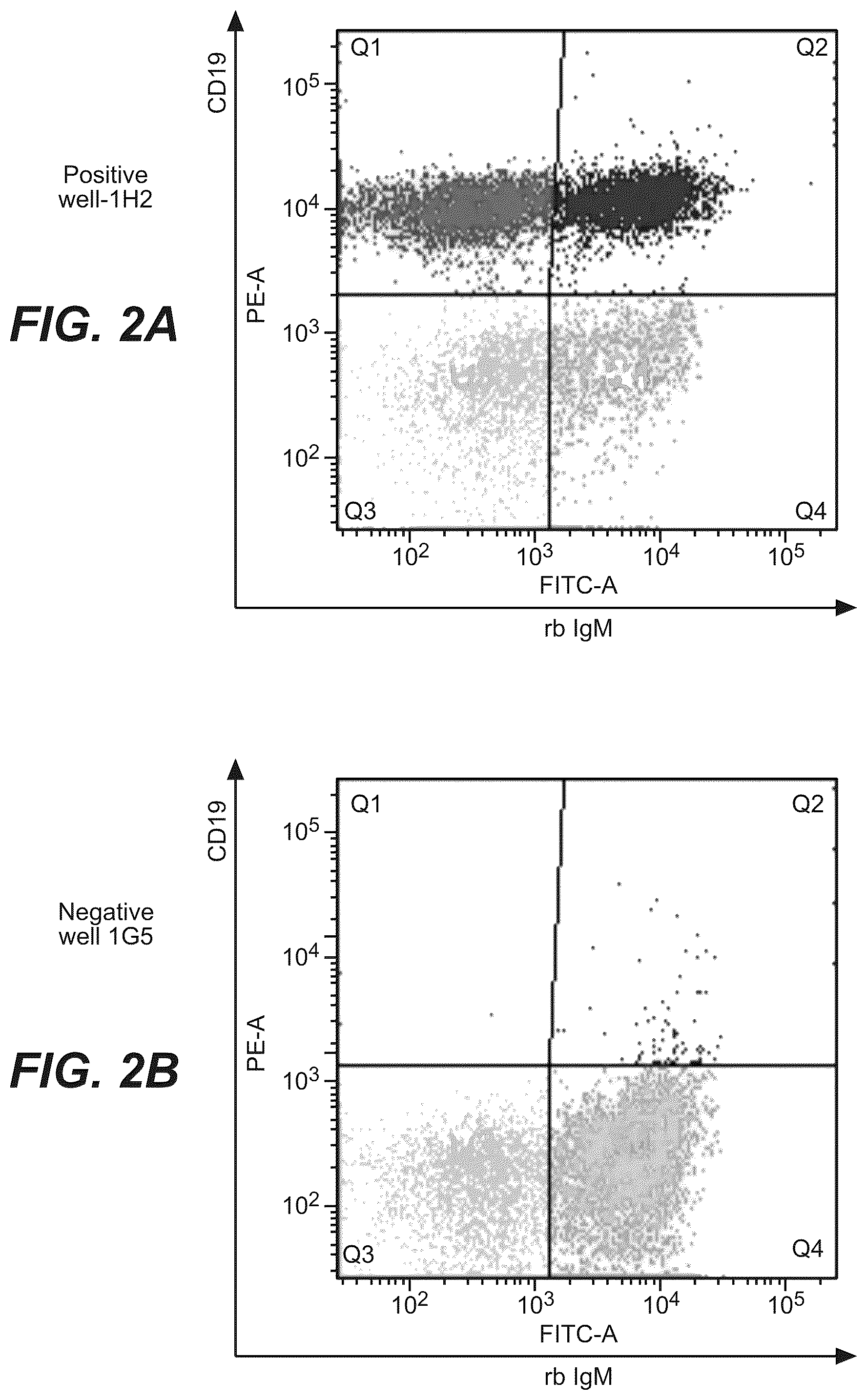 Patent US12378315 Figure 3 – Anti-rabbit CD19 antibodies and methods of use