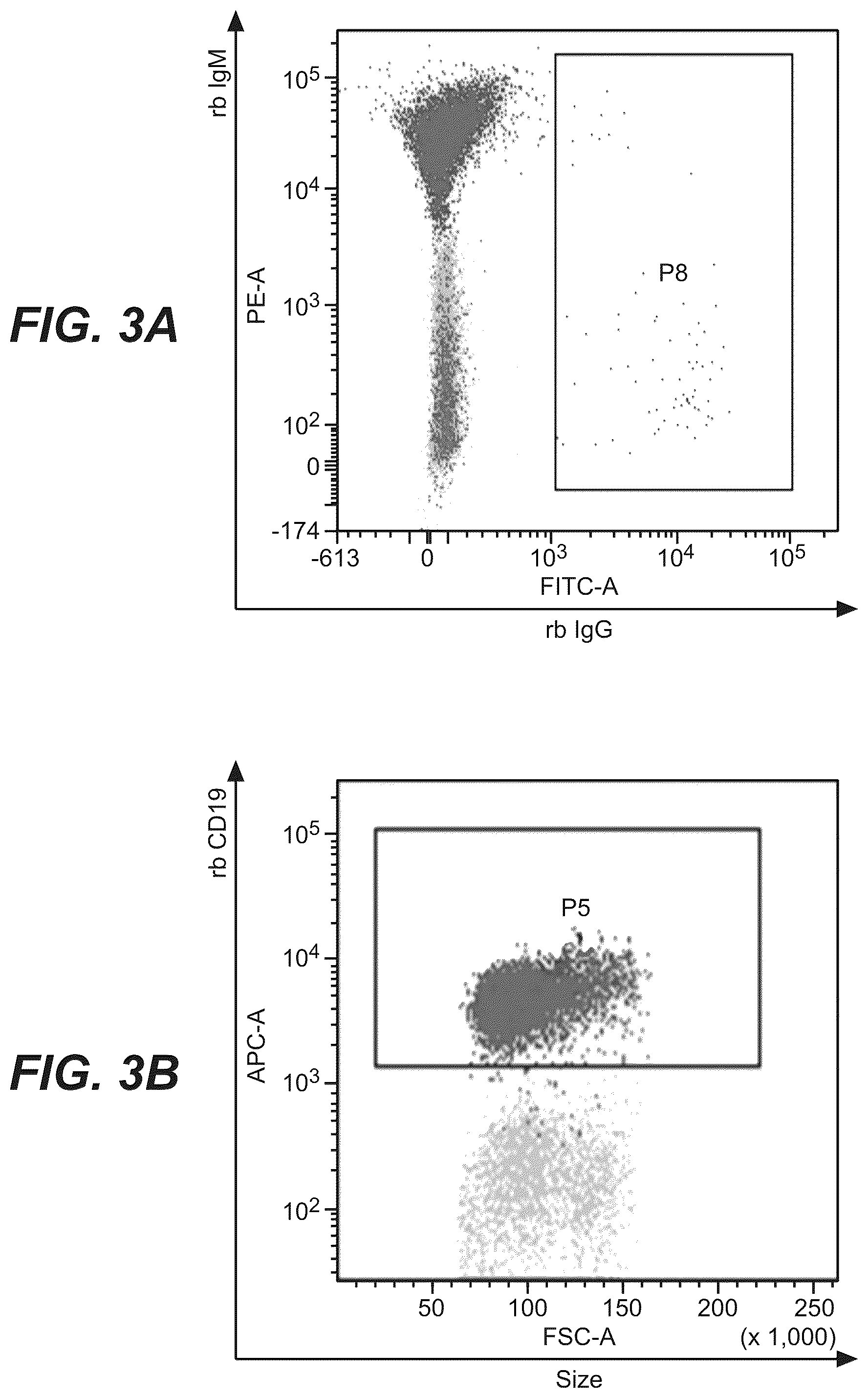 Patent US12378315 Figure 4 – Anti-rabbit CD19 antibodies and methods of use