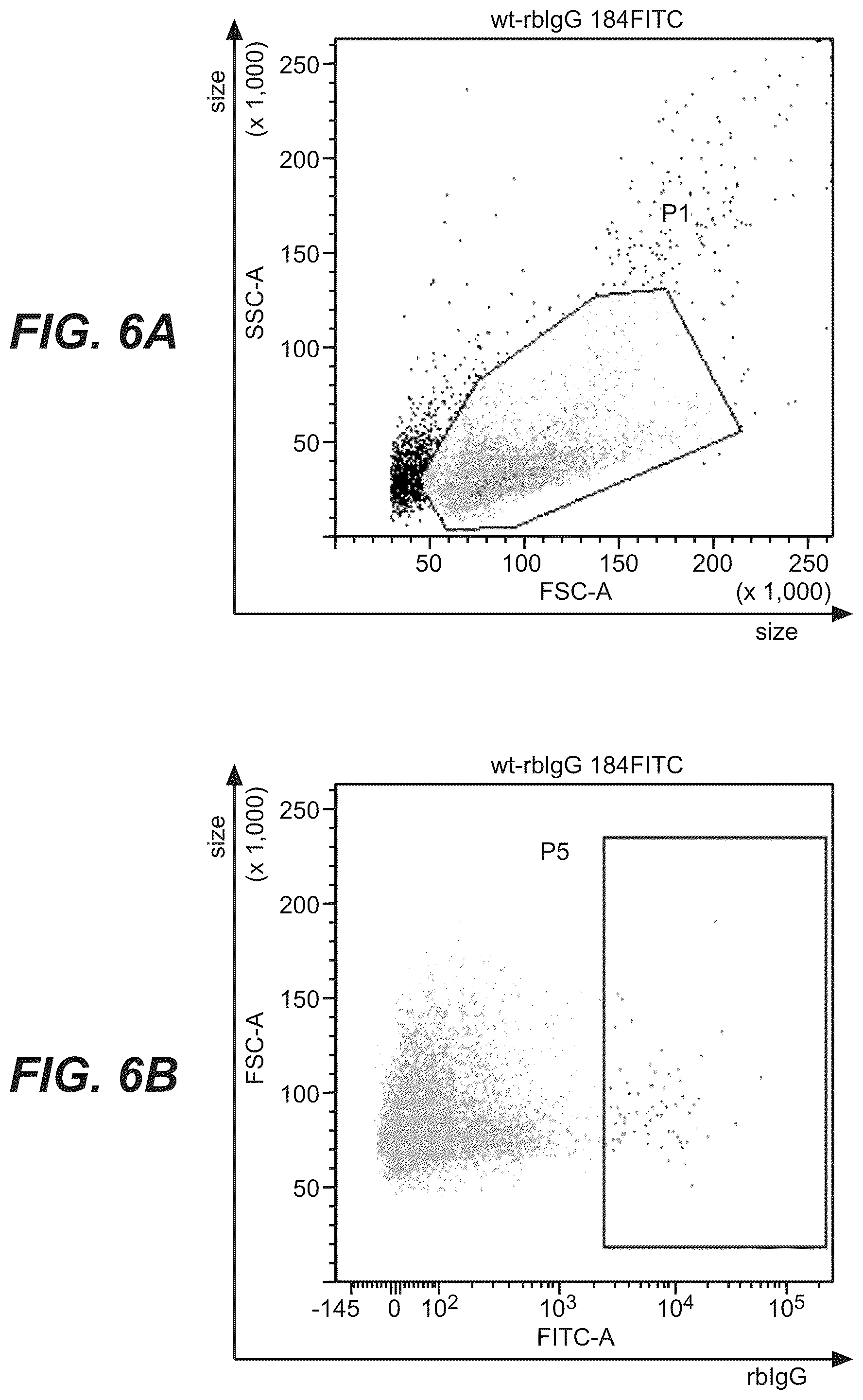 Patent US12378315 Figure 10 – Anti-rabbit CD19 antibodies and methods of use