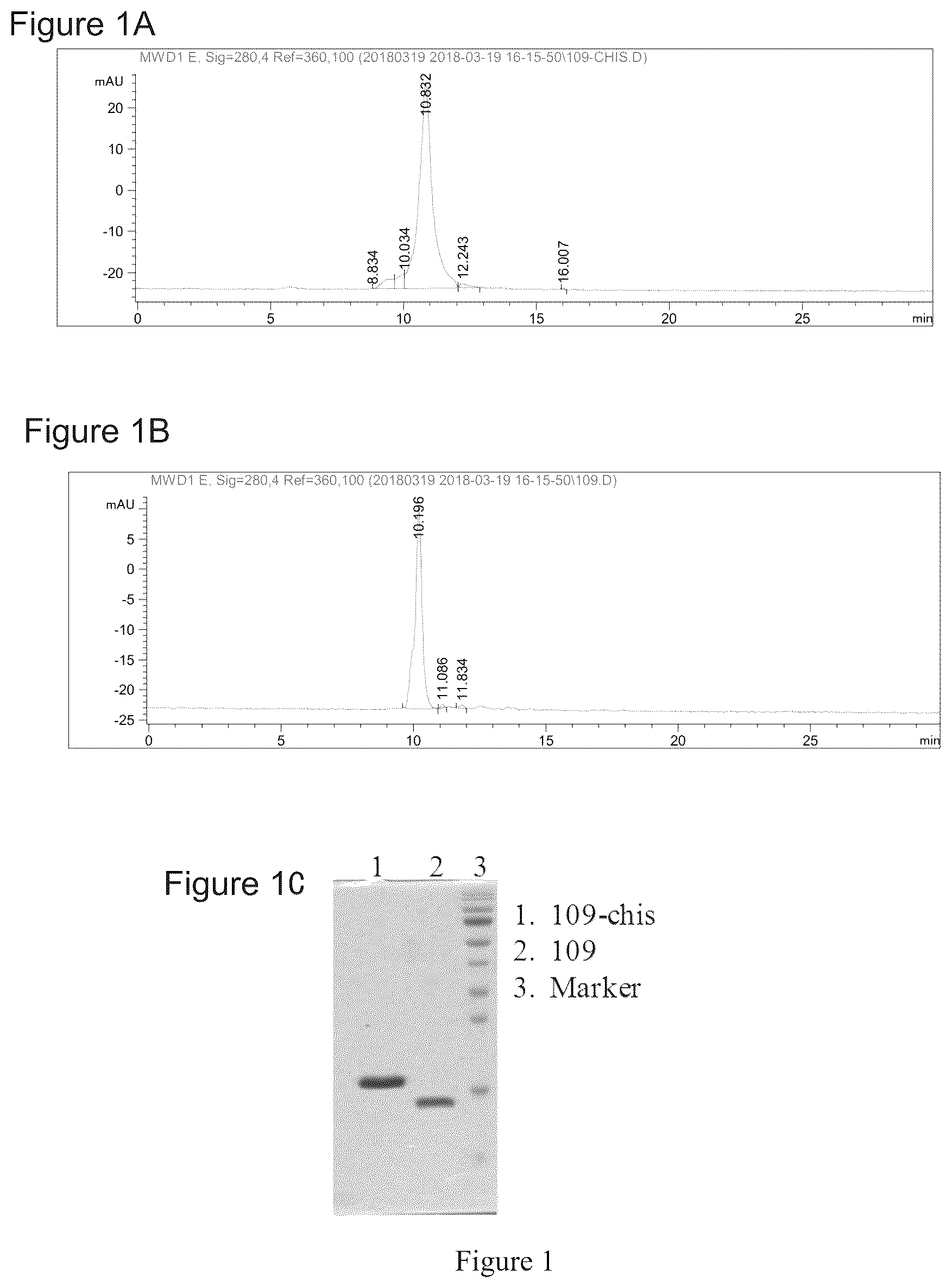Patent US12378317 Figure 1 – PD-L 1-binding polypeptide and use thereof