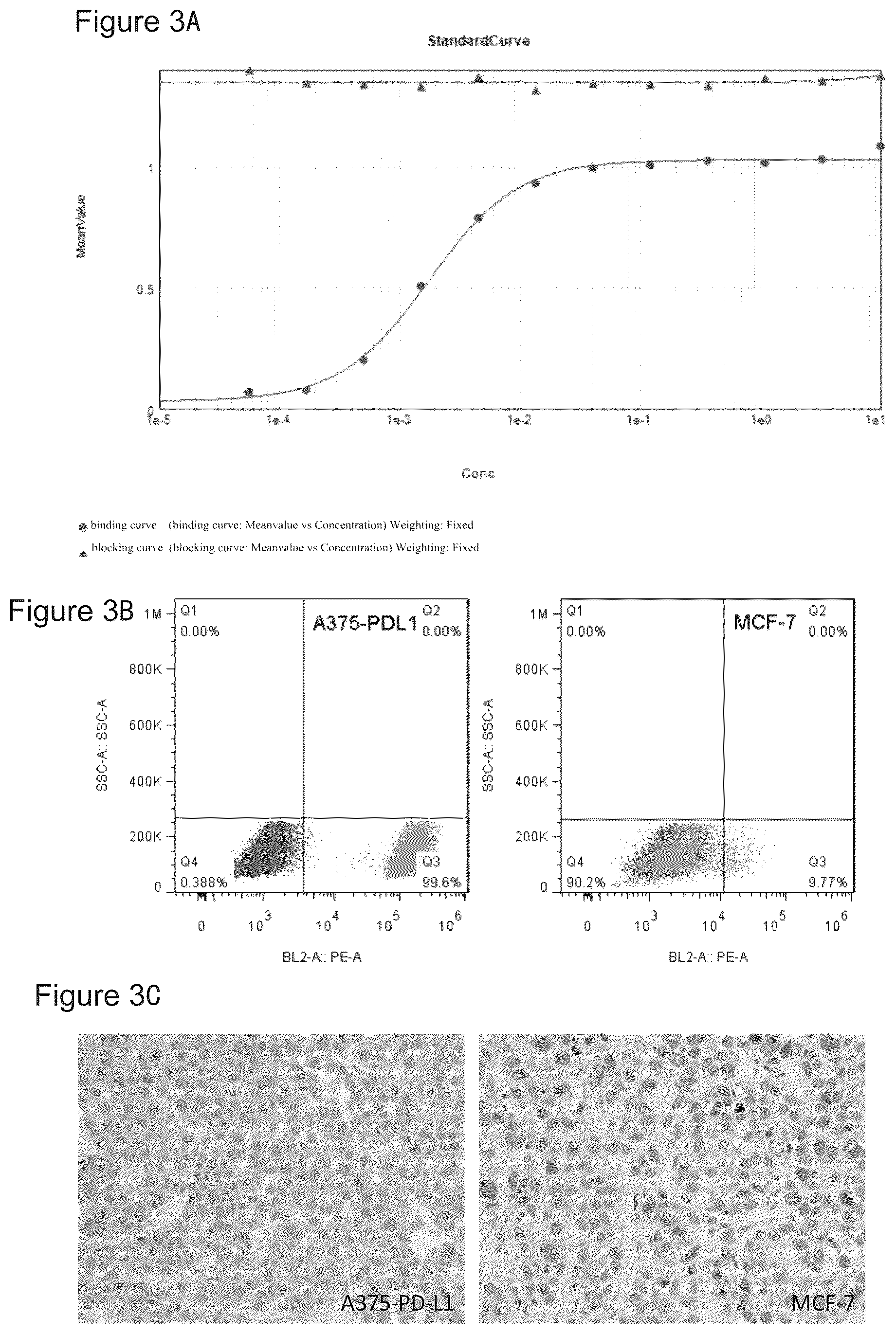 Patent US12378317 Figure 3 – PD-L 1-binding polypeptide and use thereof