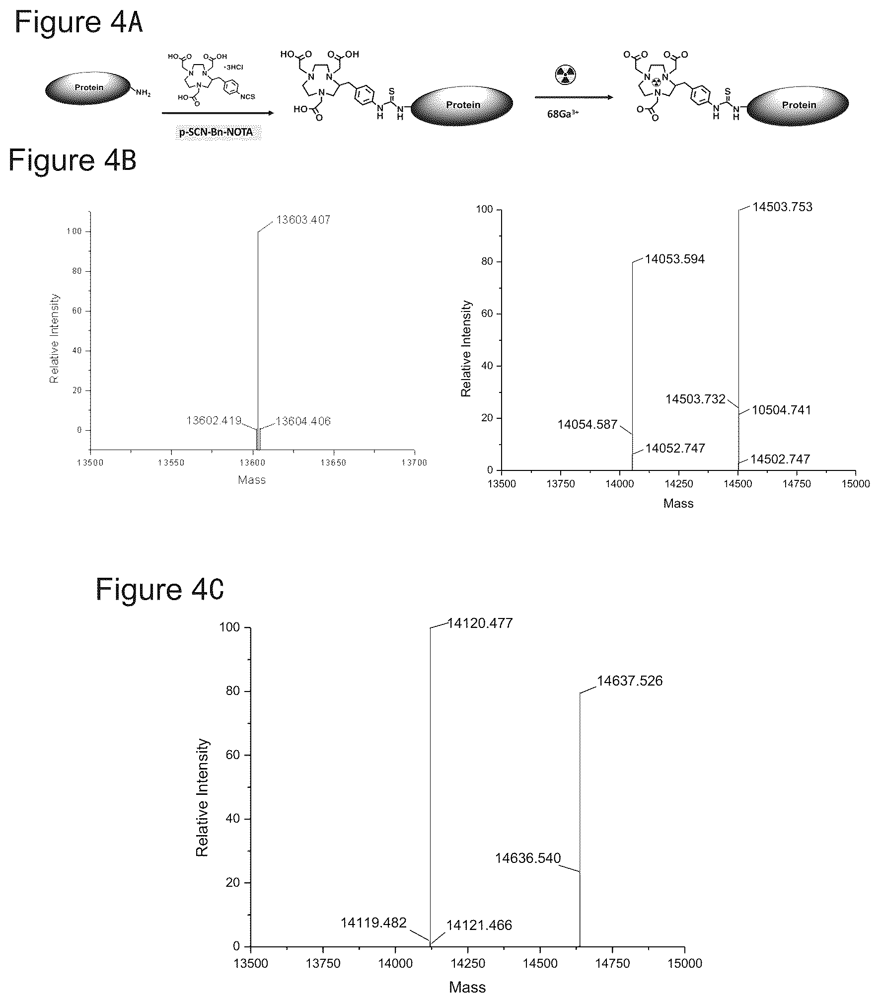 Patent US12378317 Figure 4 – PD-L 1-binding polypeptide and use thereof