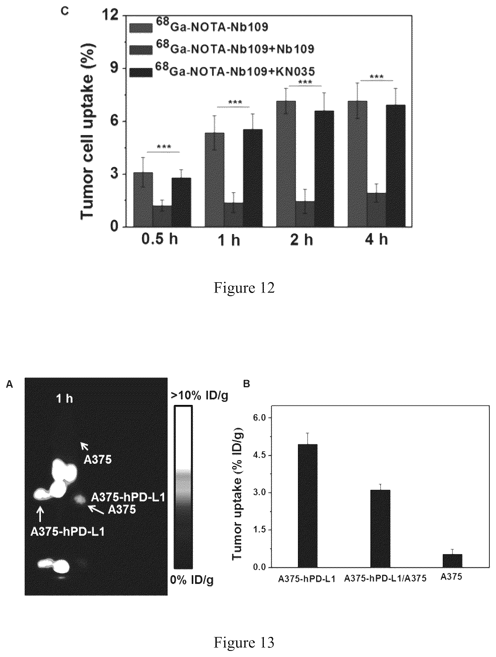 Patent US12378317 Figure 13 – PD-L 1-binding polypeptide and use thereof