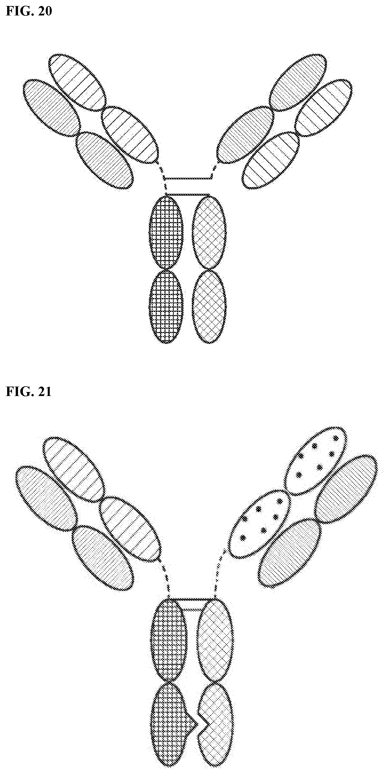 Patent US12378318 Figure 13 – Proteins binding NKG2D, CD16 and a tumor-associated antigen
