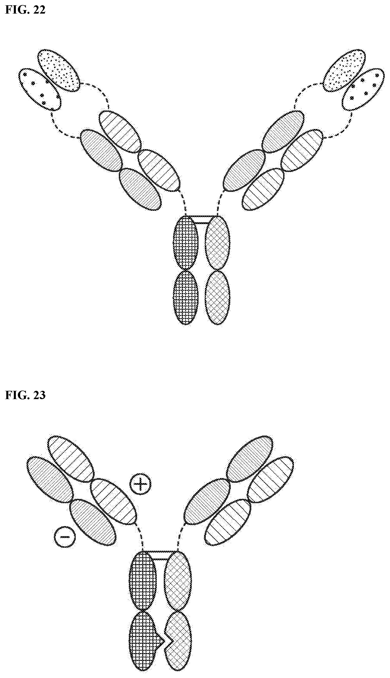Patent US12378318 Figure 14 – Proteins binding NKG2D, CD16 and a tumor-associated antigen