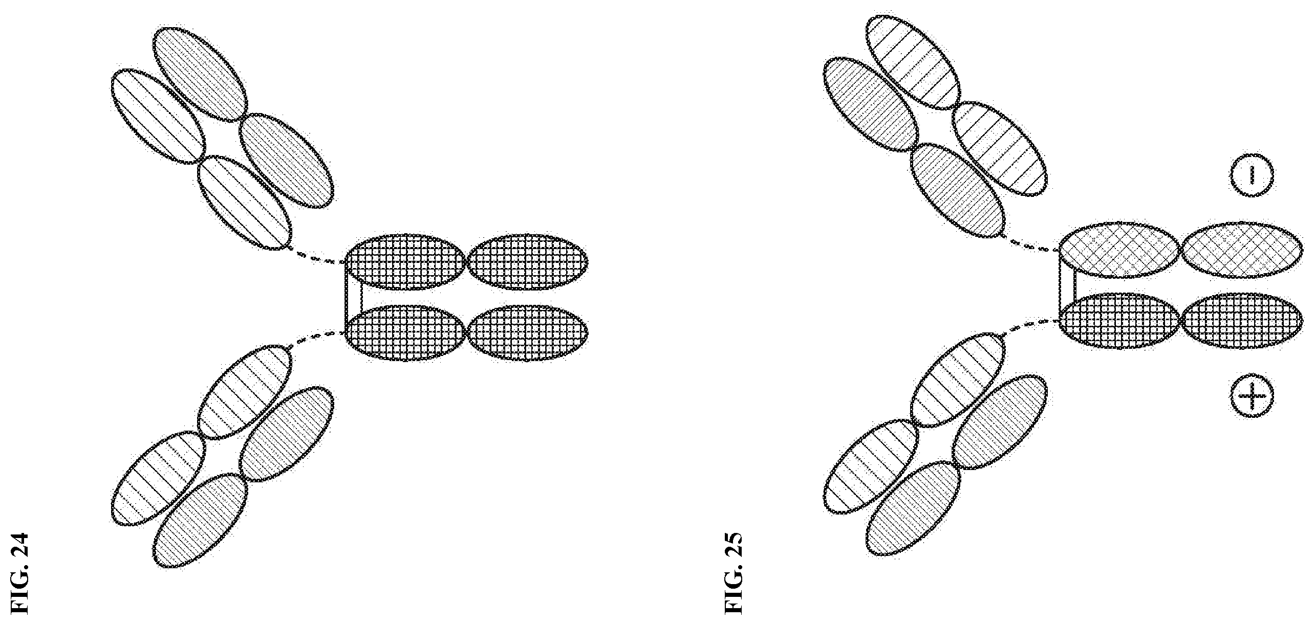 Patent US12378318 Figure 15 – Proteins binding NKG2D, CD16 and a tumor-associated antigen