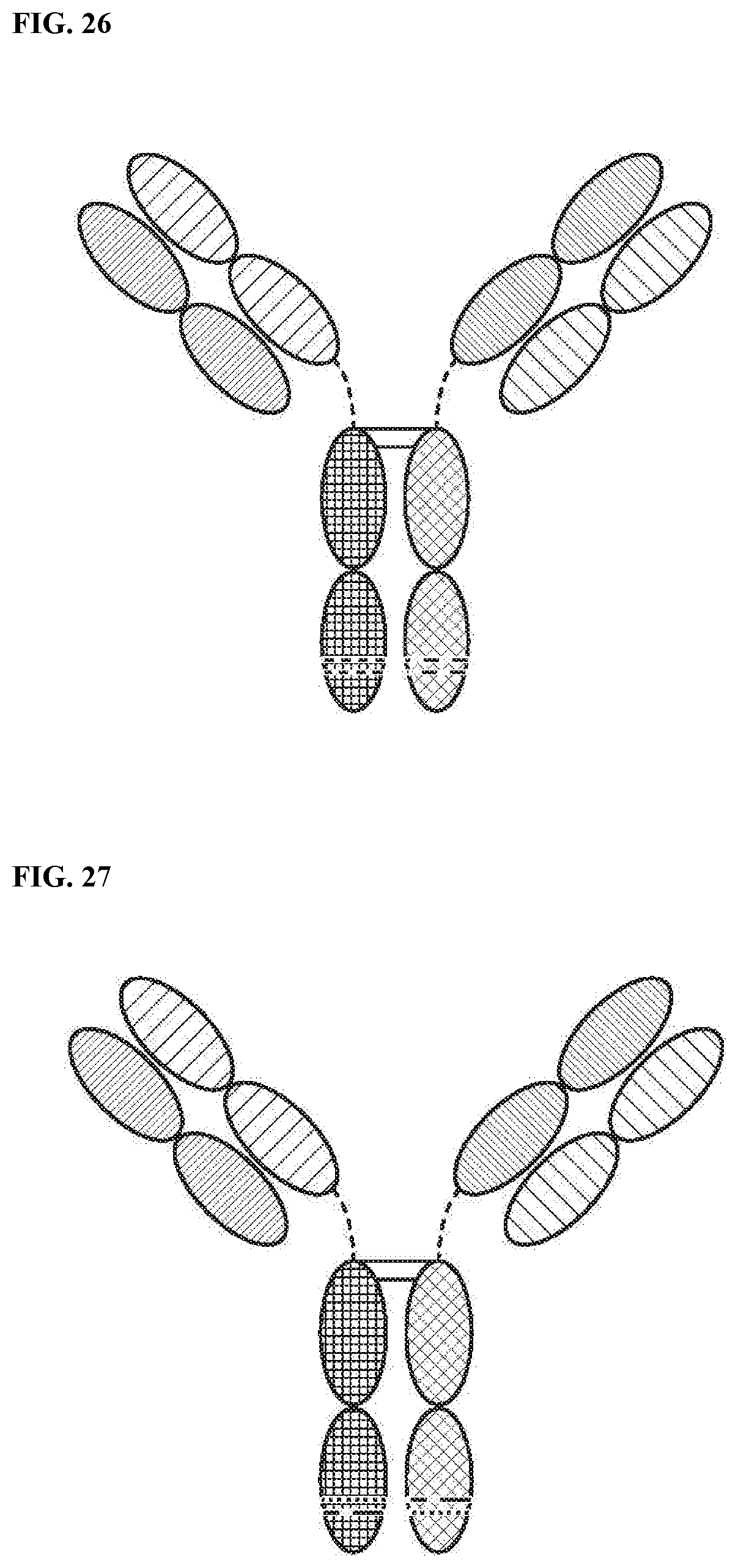 Patent US12378318 Figure 16 – Proteins binding NKG2D, CD16 and a tumor-associated antigen