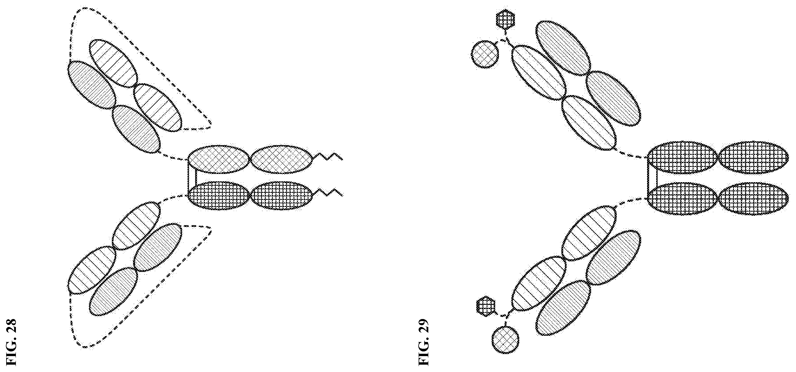 Patent US12378318 Figure 17 – Proteins binding NKG2D, CD16 and a tumor-associated antigen