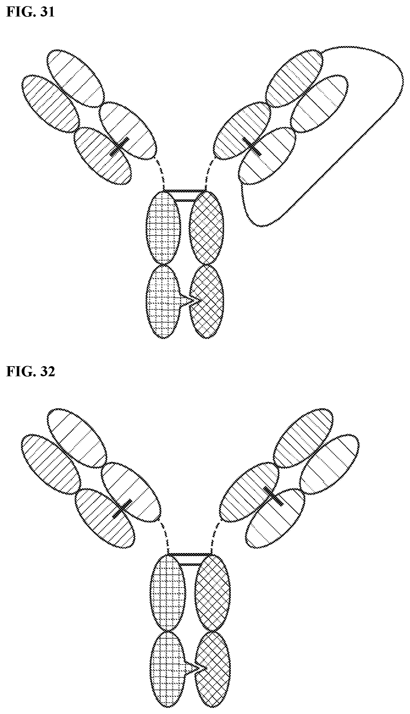 Patent US12378318 Figure 19 – Proteins binding NKG2D, CD16 and a tumor-associated antigen