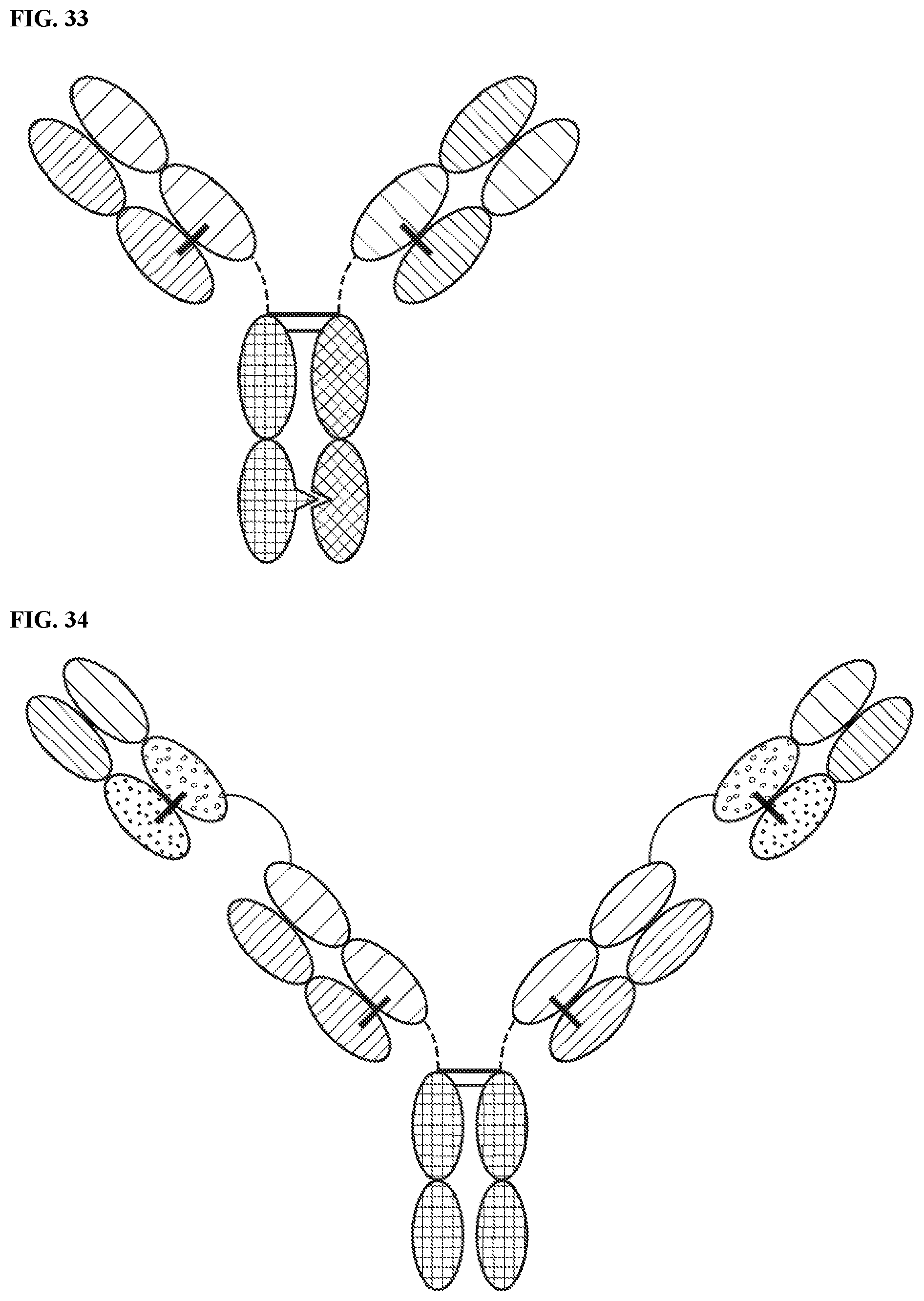 Patent US12378318 Figure 20 – Proteins binding NKG2D, CD16 and a tumor-associated antigen
