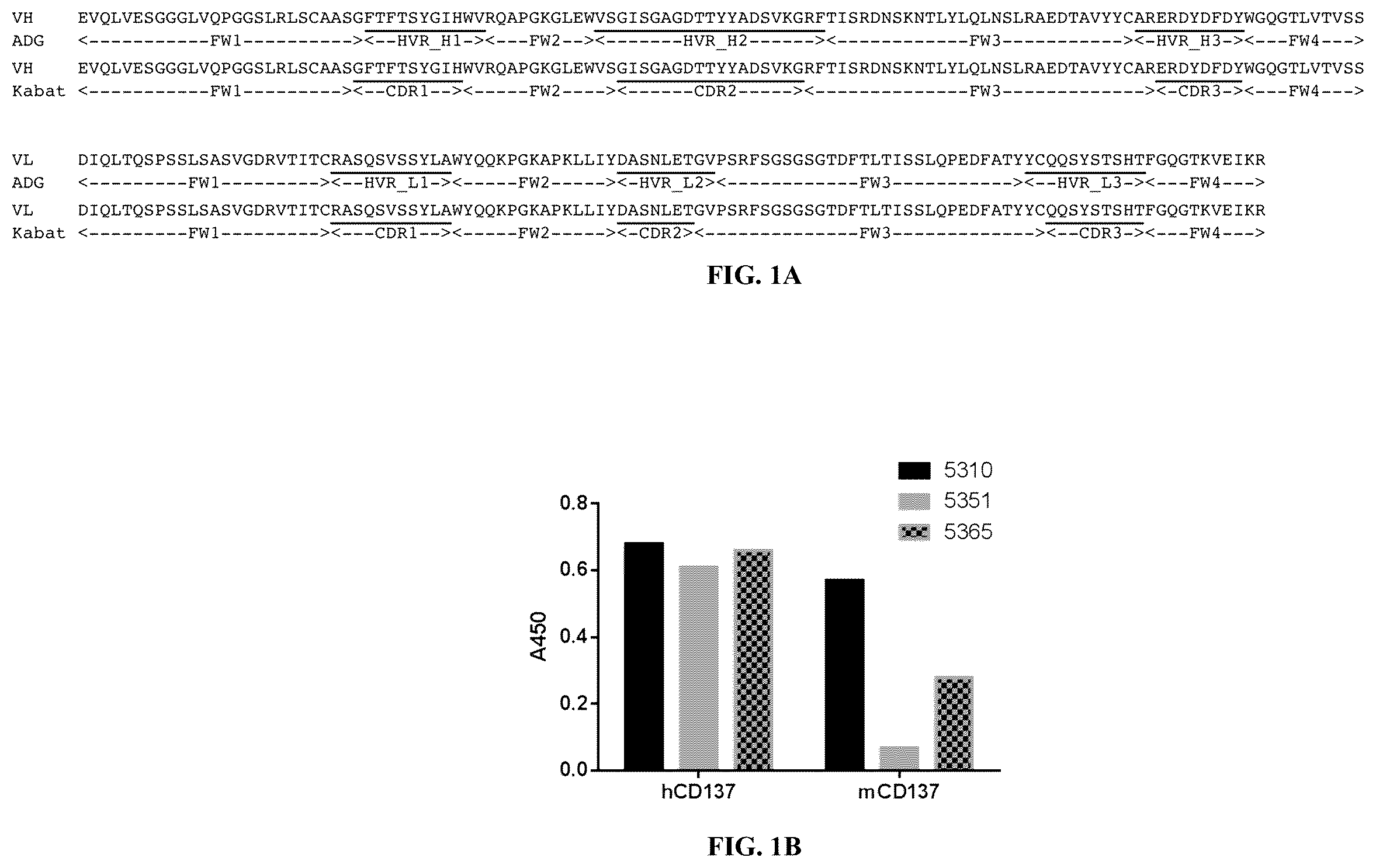 Patent US12378319 — Anti-CD137 molecules and use thereof — Figure 1
