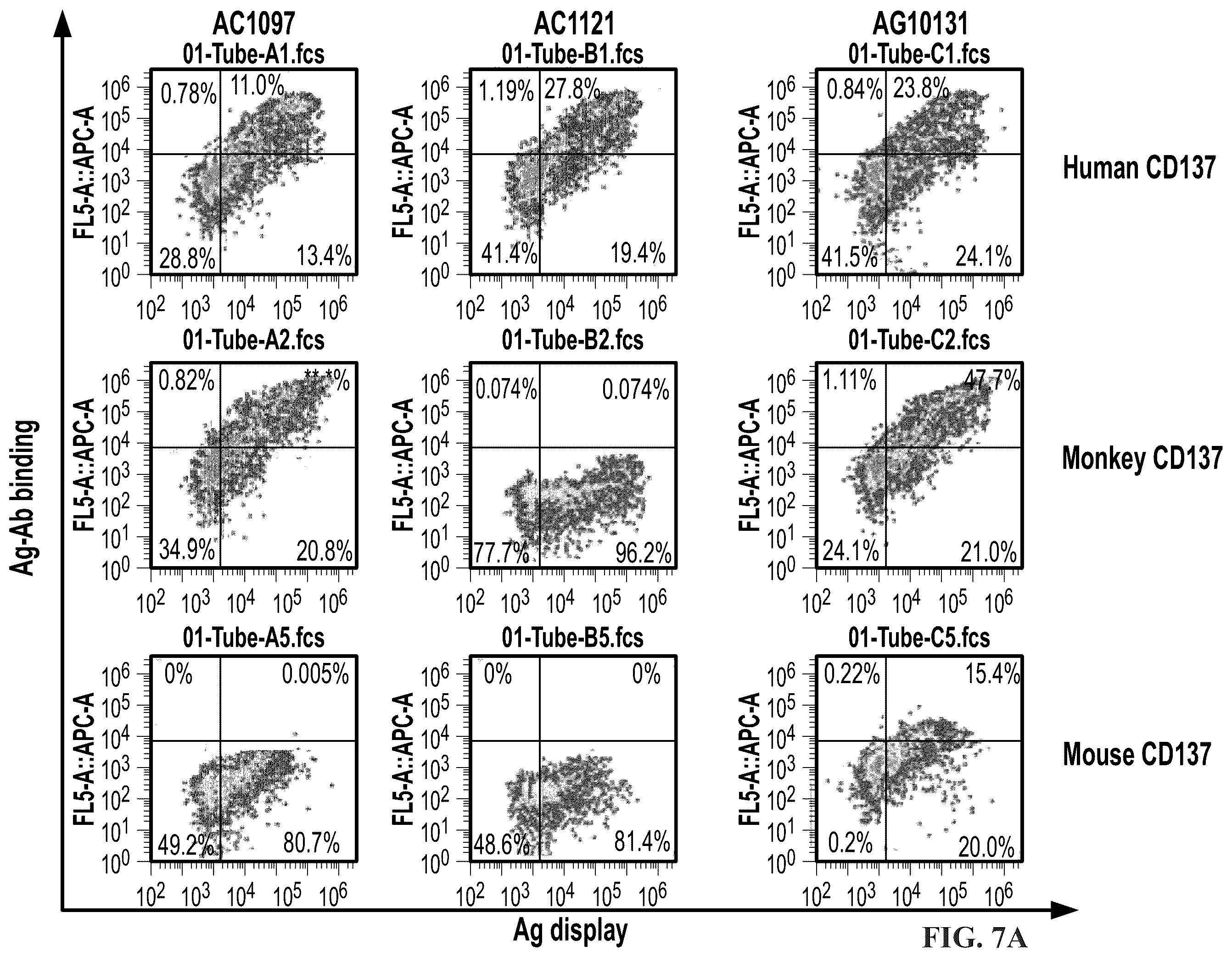 Patent US12378319 Figure 16 – Anti-CD137 molecules and use thereof