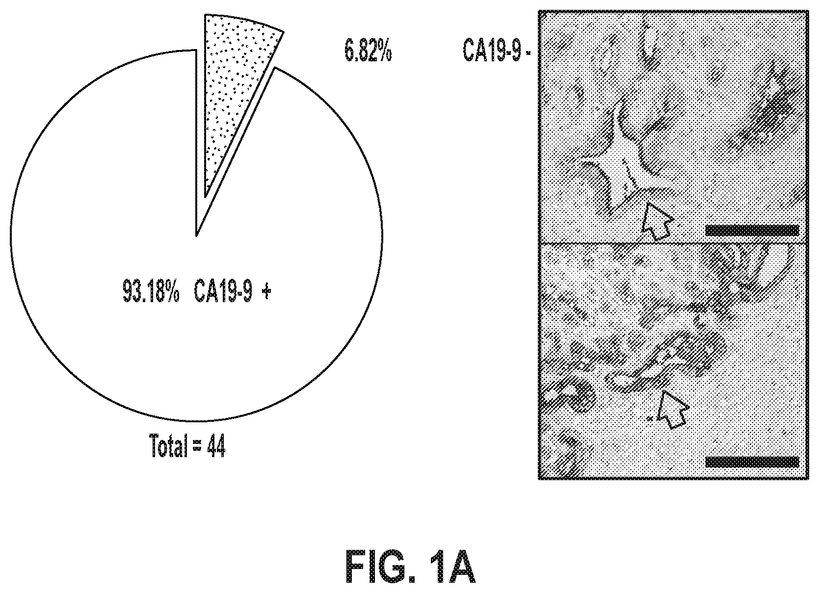 Patent US12378320 Figure 1 – Methods for treating pancreatitis