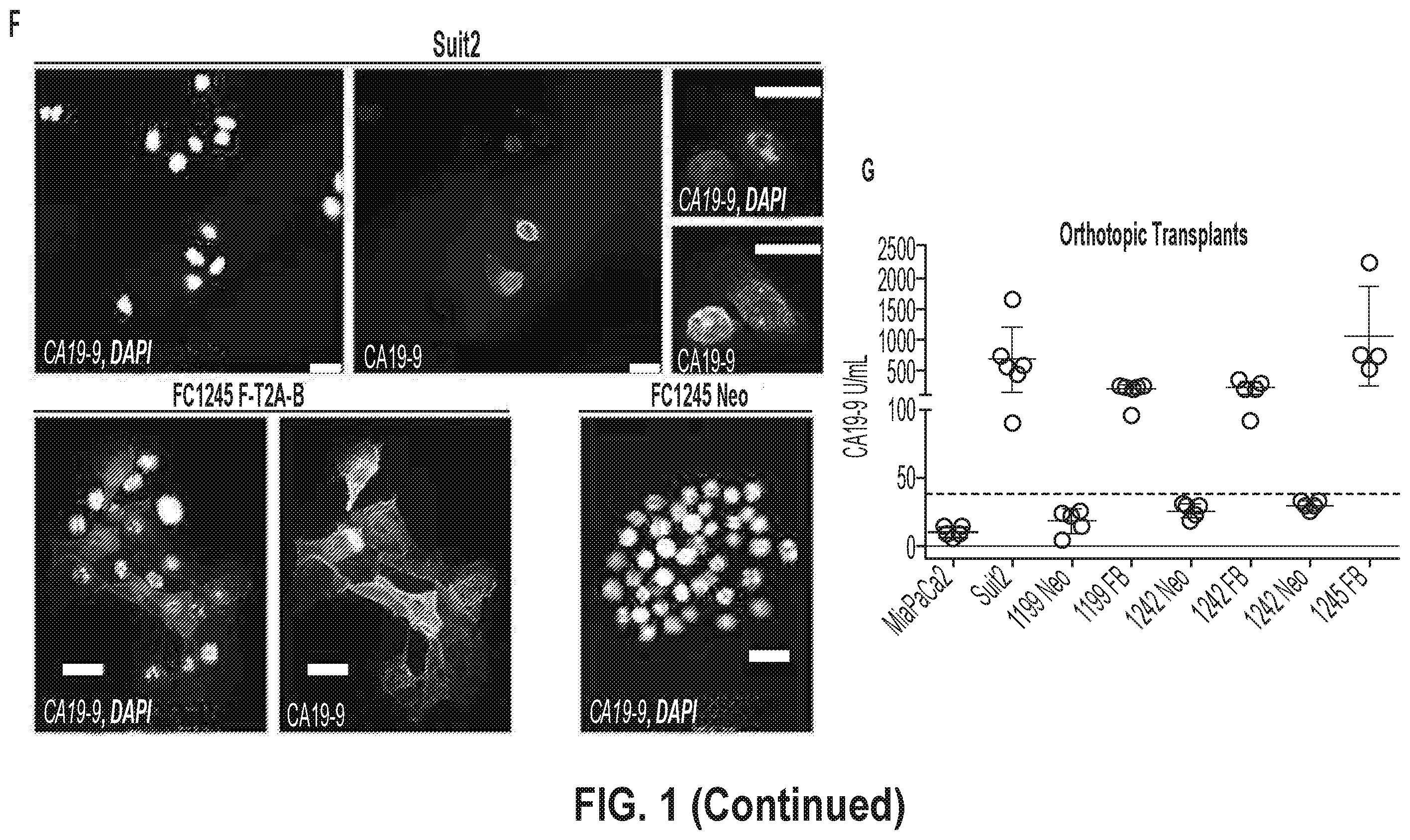 Patent US12378320 Figure 5 – Methods for treating pancreatitis