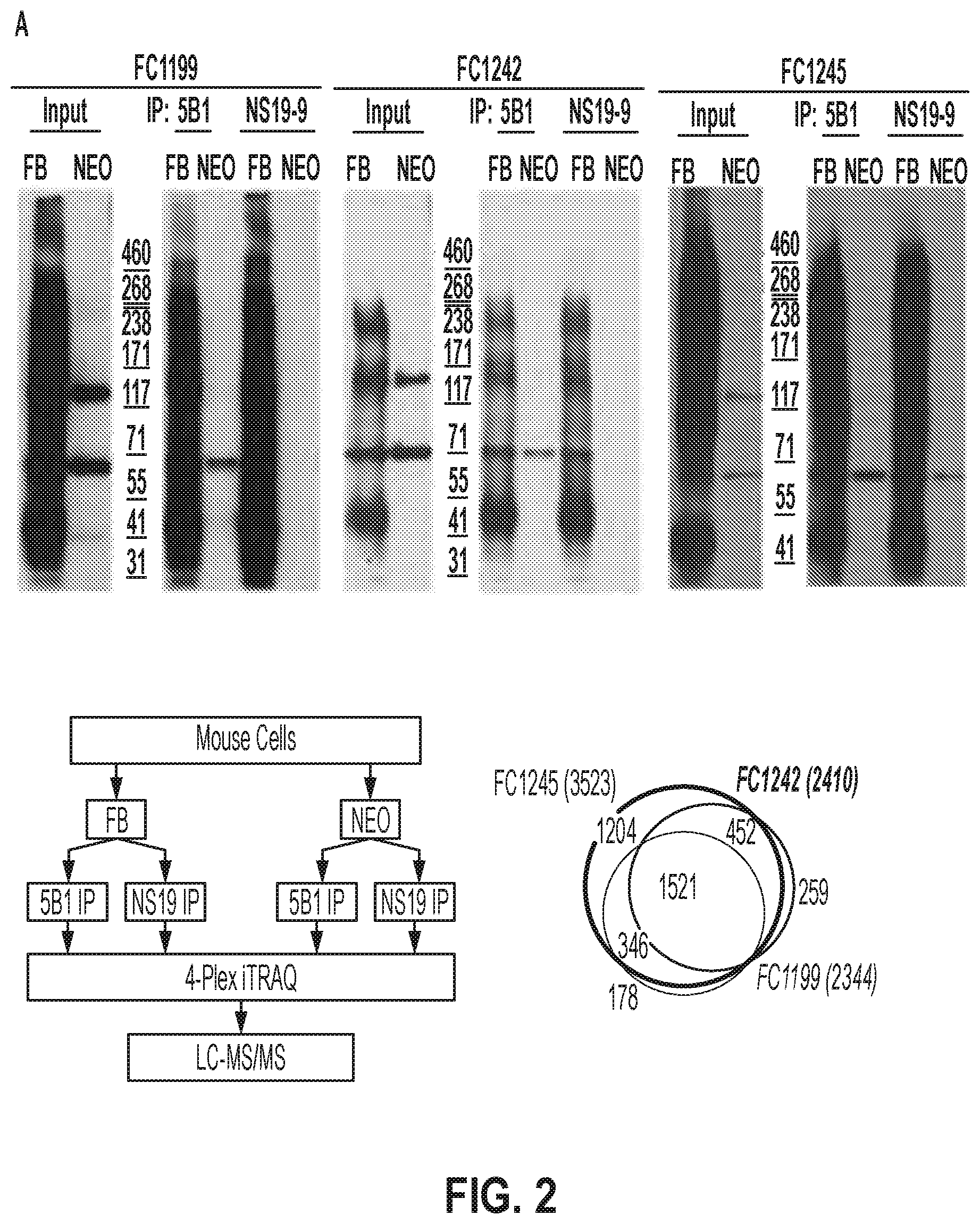 Patent US12378320 Figure 6 – Methods for treating pancreatitis
