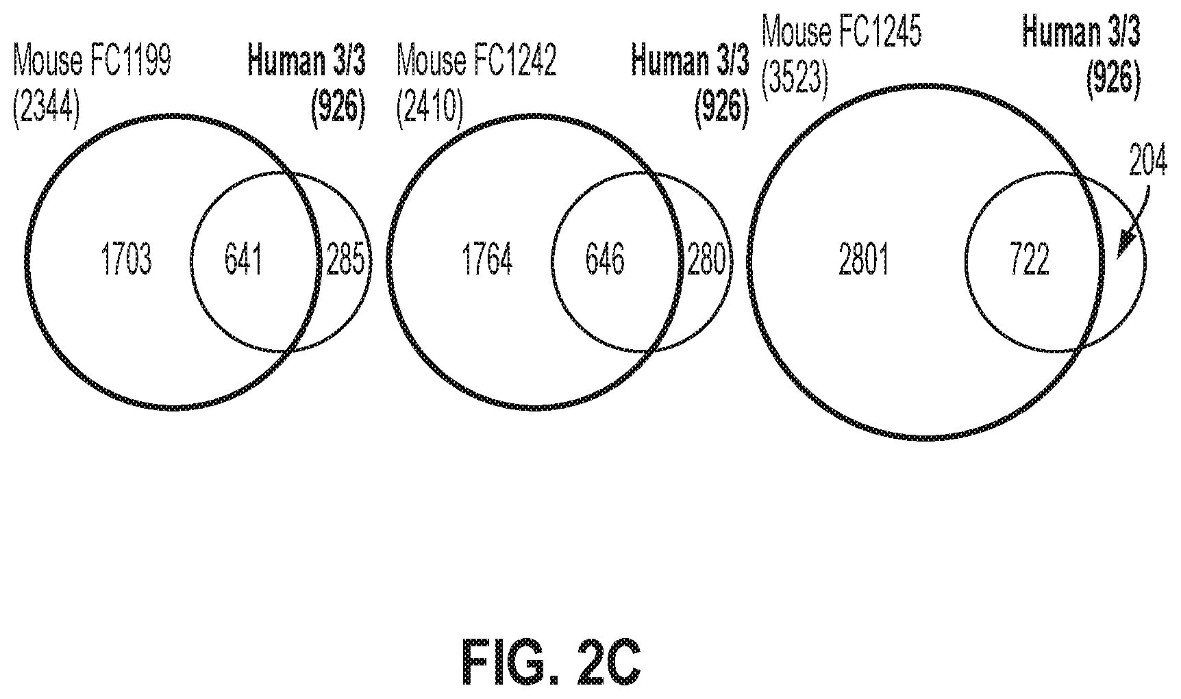 Patent US12378320 Figure 8 – Methods for treating pancreatitis