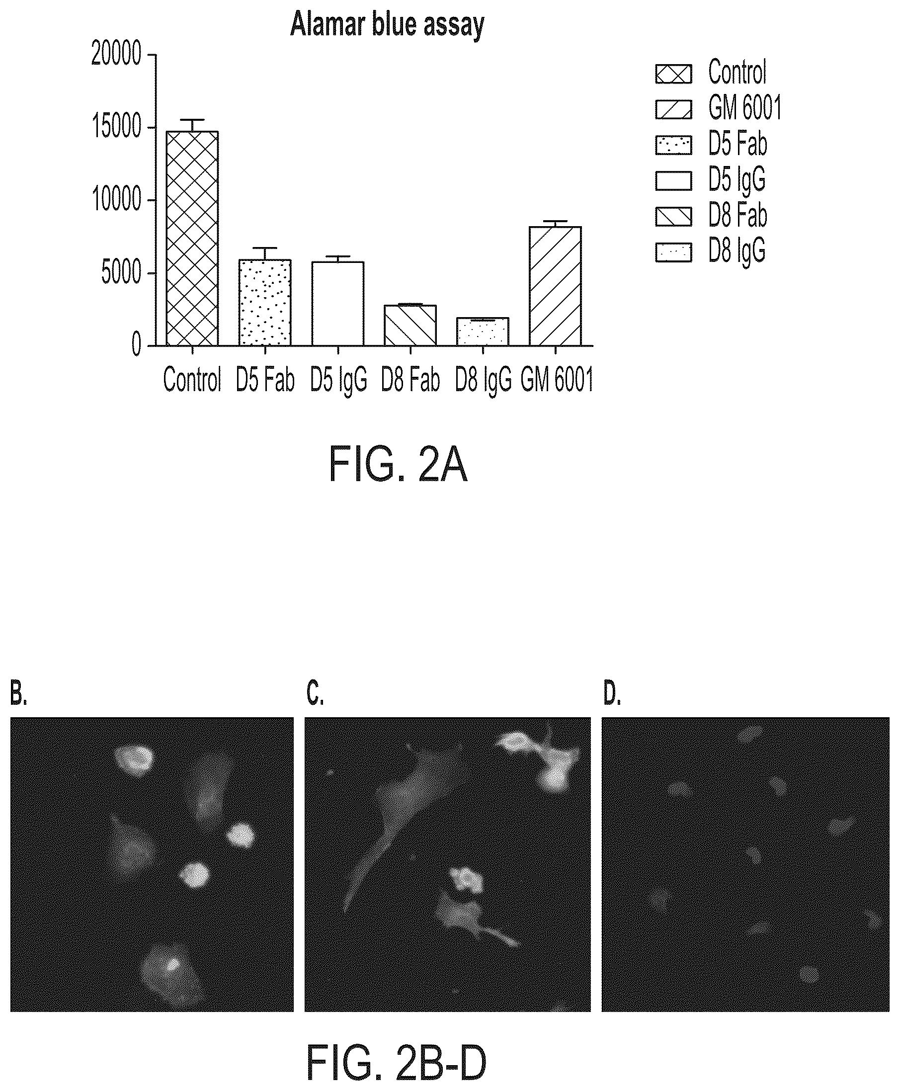 Patent US12378321 Figure 2 – ADAM17 binding molecules and uses thereof