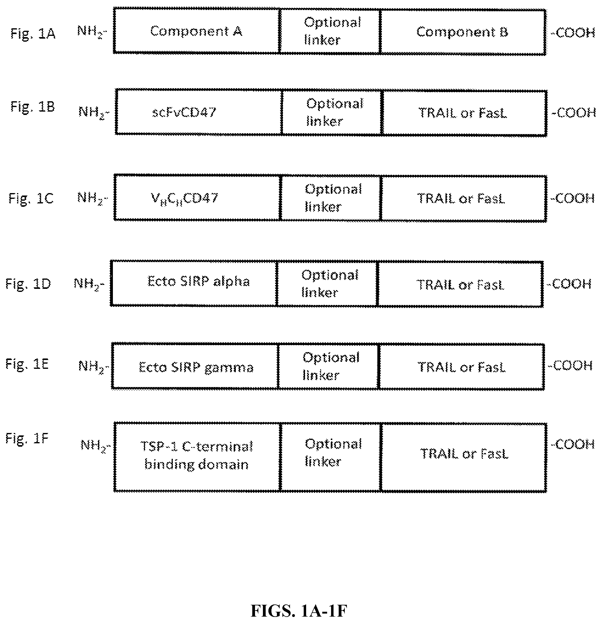 Patent US12378322 Figure 1 – Fusion proteins that facilitate cancer cell destruction