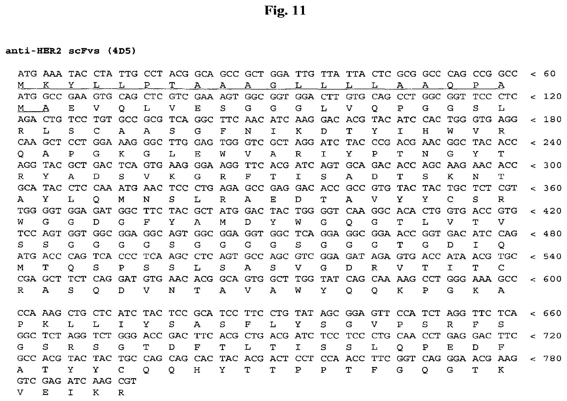 Patent US12378323 Figure 13 – IgM and IgE heavy chain domain 2 as covalently linked homodimerization modules for the generation of fusion proteins with dual specificity