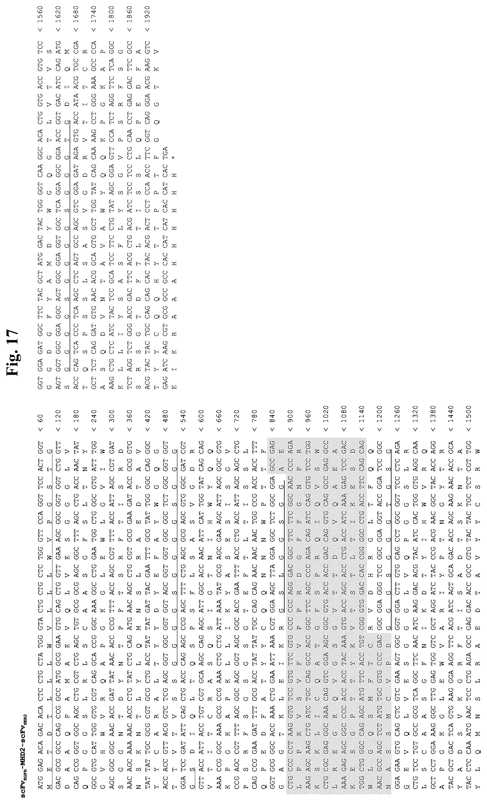 Patent US12378323 Figure 19 – IgM and IgE heavy chain domain 2 as covalently linked homodimerization modules for the generation of fusion proteins with dual specificity