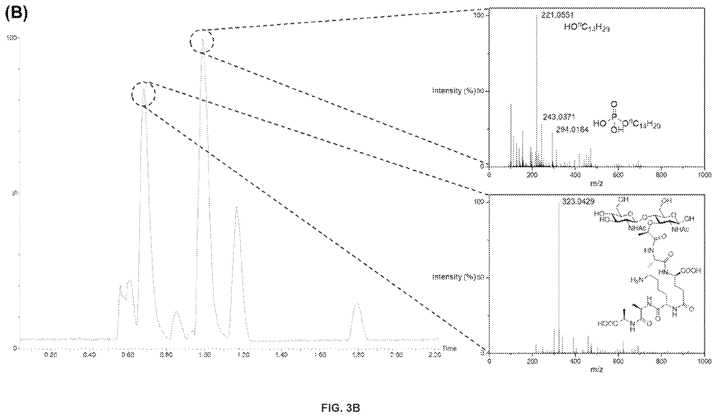 Patent US12378328 Figure 4 – Biohybrid peptidoglycan oligomers