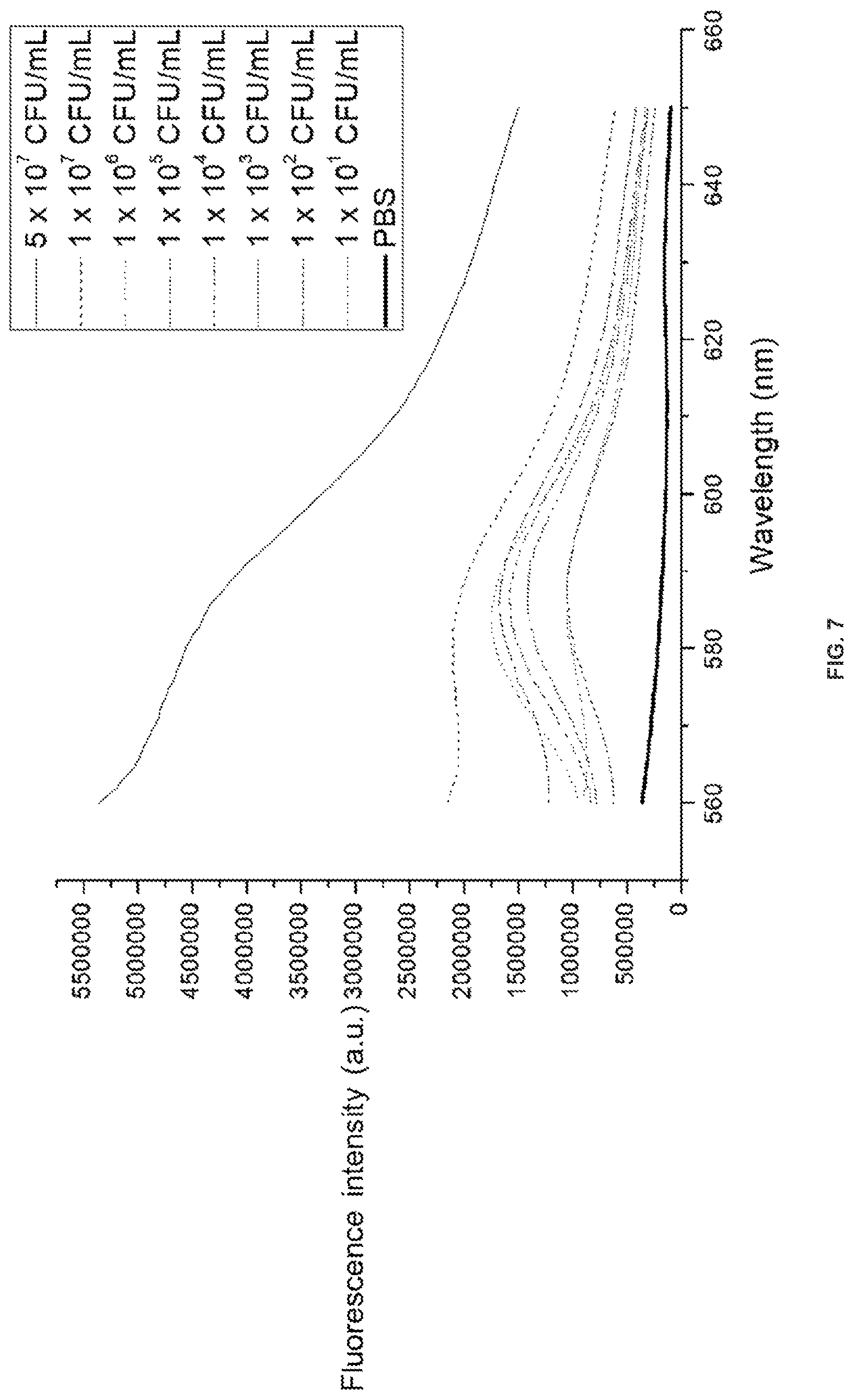 Patent US12378328 Figure 11 – Biohybrid peptidoglycan oligomers