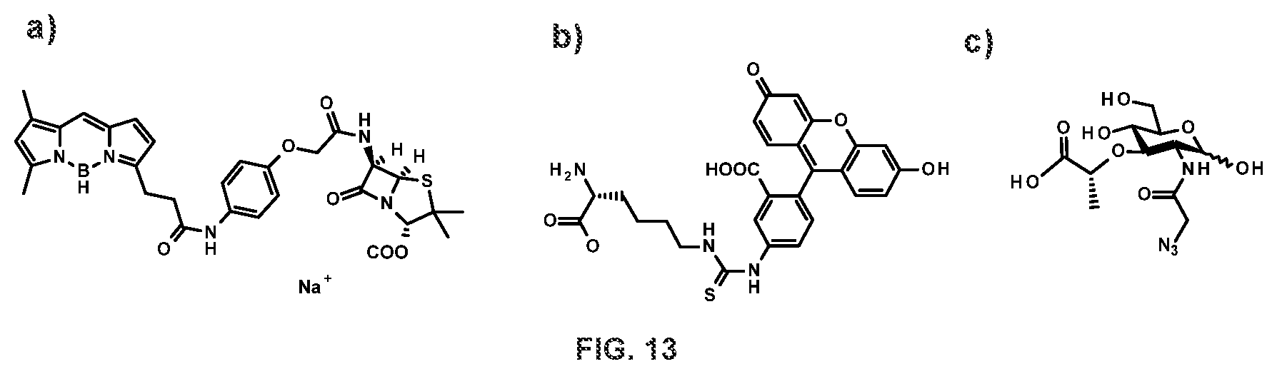 Patent US12378328 Figure 16 – Biohybrid peptidoglycan oligomers