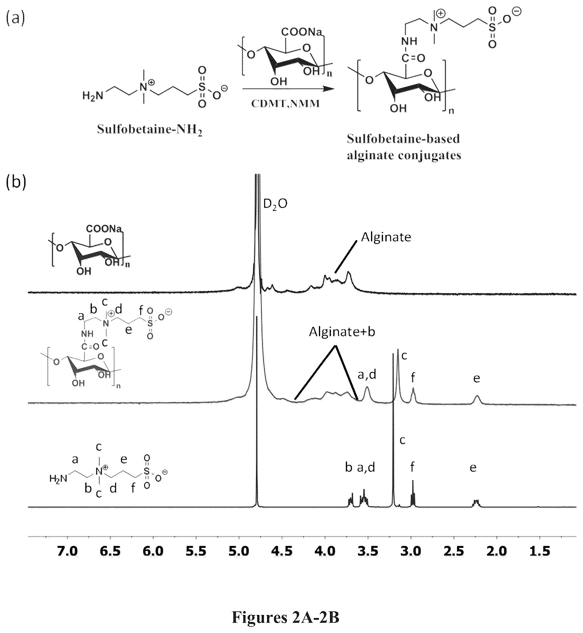 Patent US12378329 Figure 2 – Zwitterionically modified polymers and hydrogels