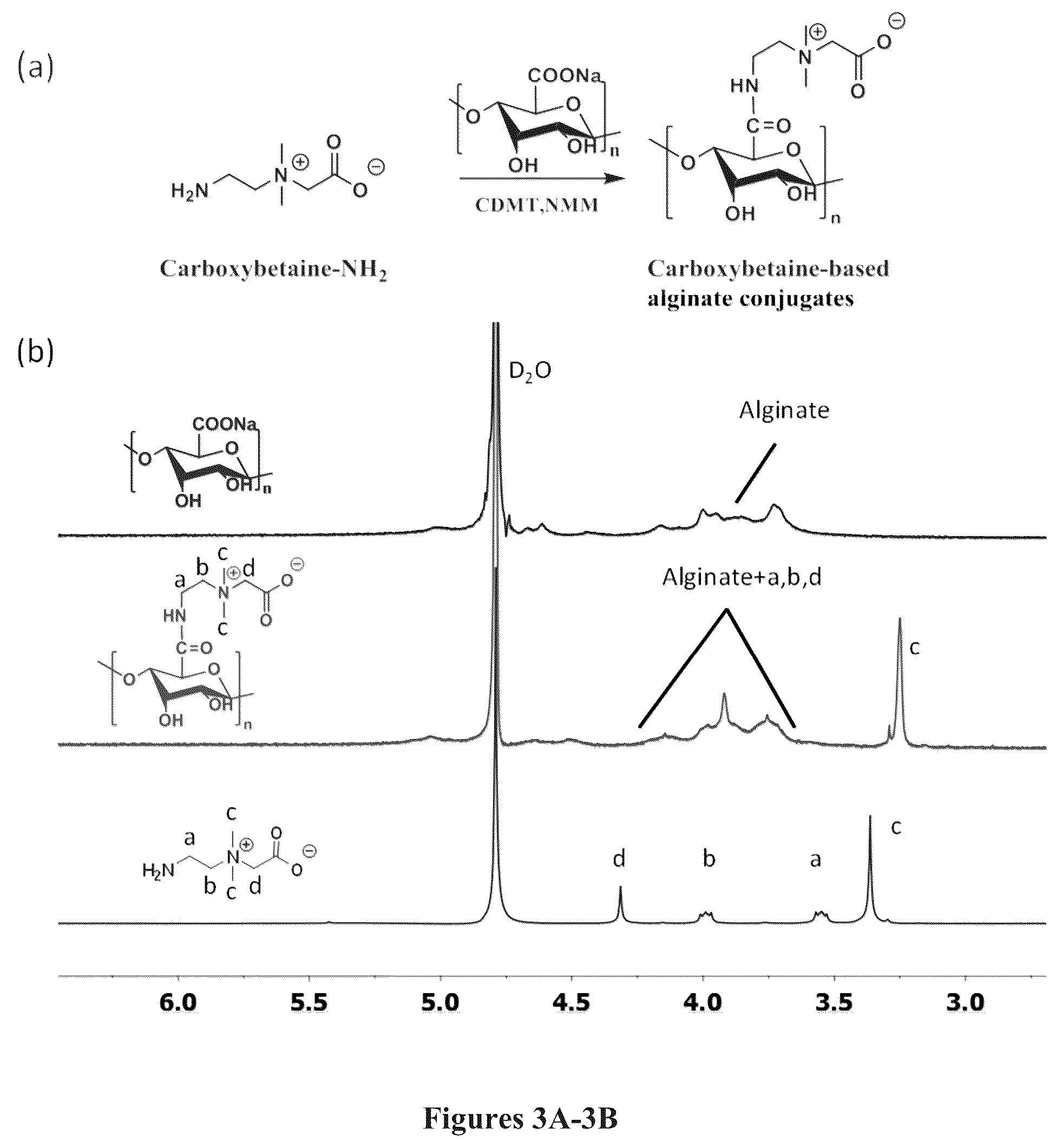 Patent US12378329 Figure 3 – Zwitterionically modified polymers and hydrogels