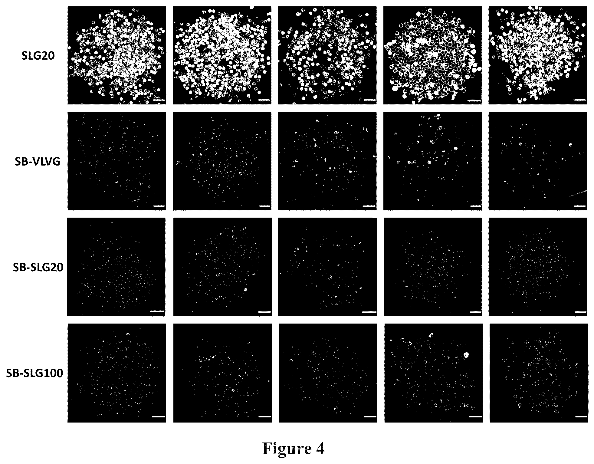 Patent US12378329 Figure 4 – Zwitterionically modified polymers and hydrogels