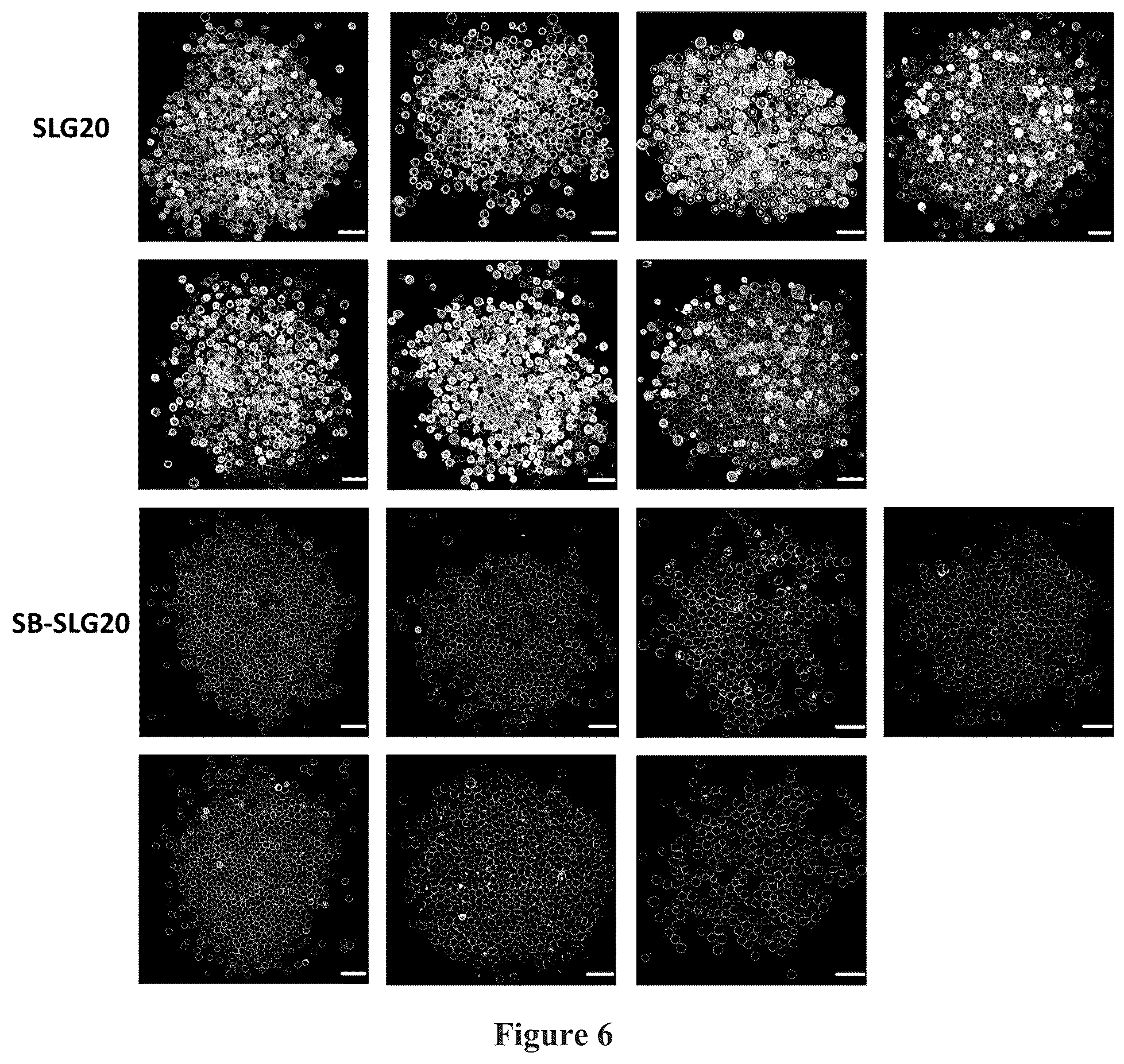 Patent US12378329 Figure 6 – Zwitterionically modified polymers and hydrogels