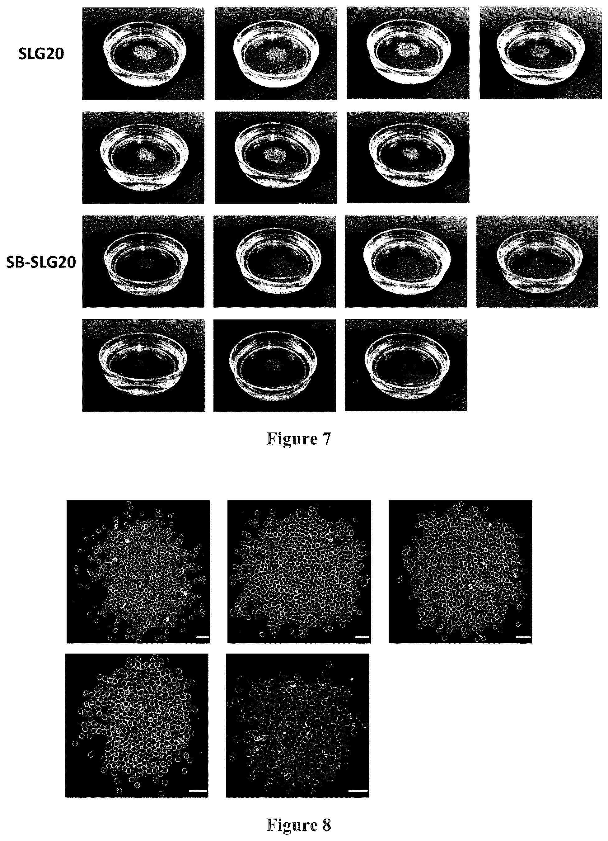 Patent US12378329 Figure 7 – Zwitterionically modified polymers and hydrogels