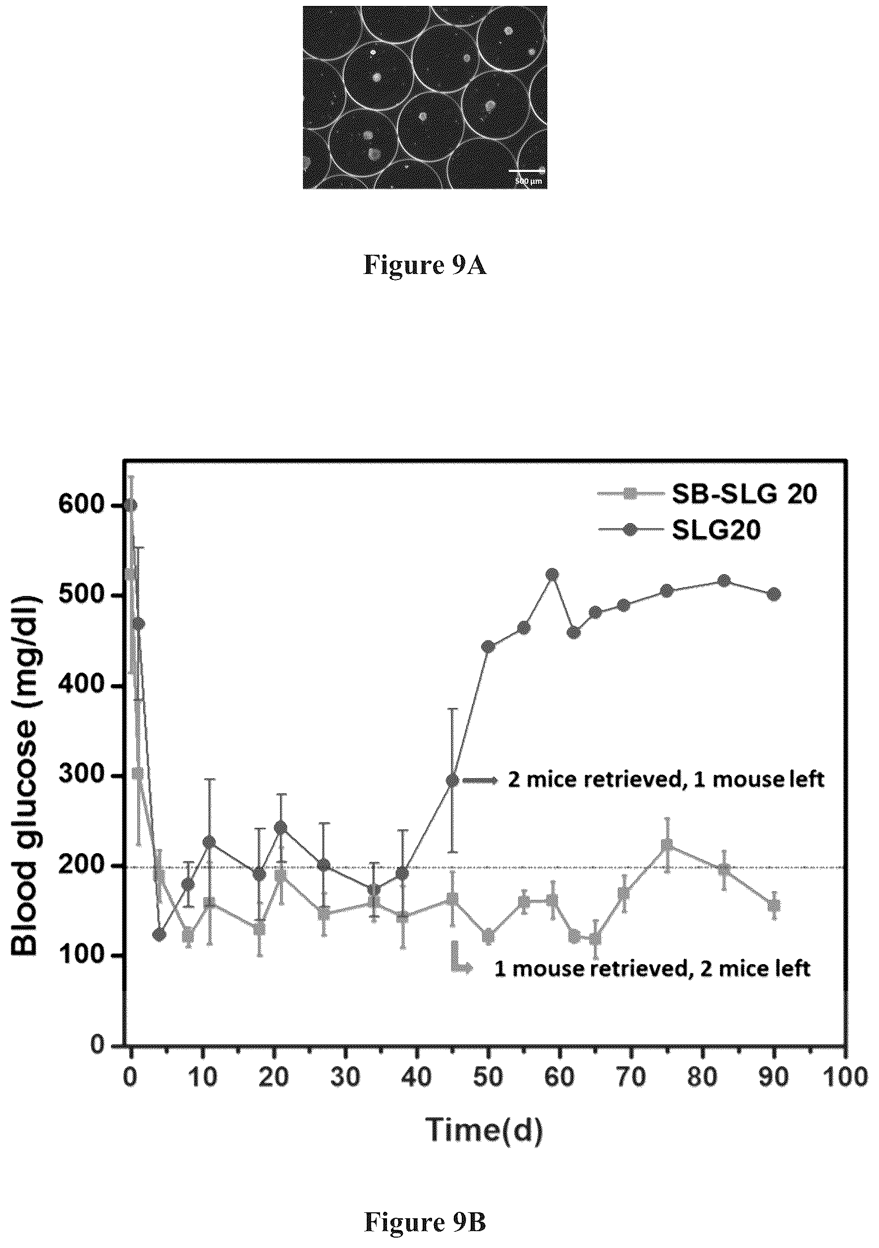 Patent US12378329 Figure 8 – Zwitterionically modified polymers and hydrogels