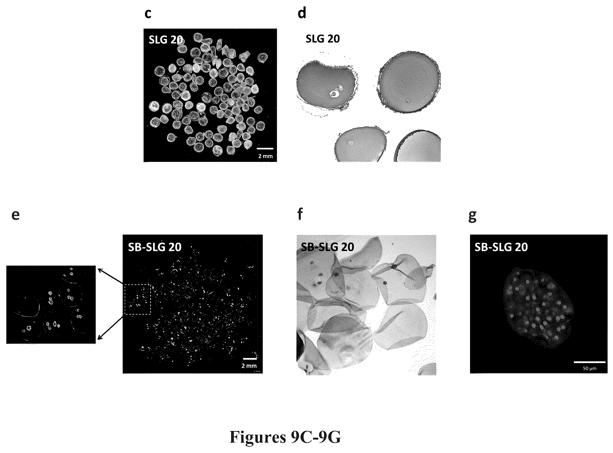 Patent US12378329 Figure 9 – Zwitterionically modified polymers and hydrogels