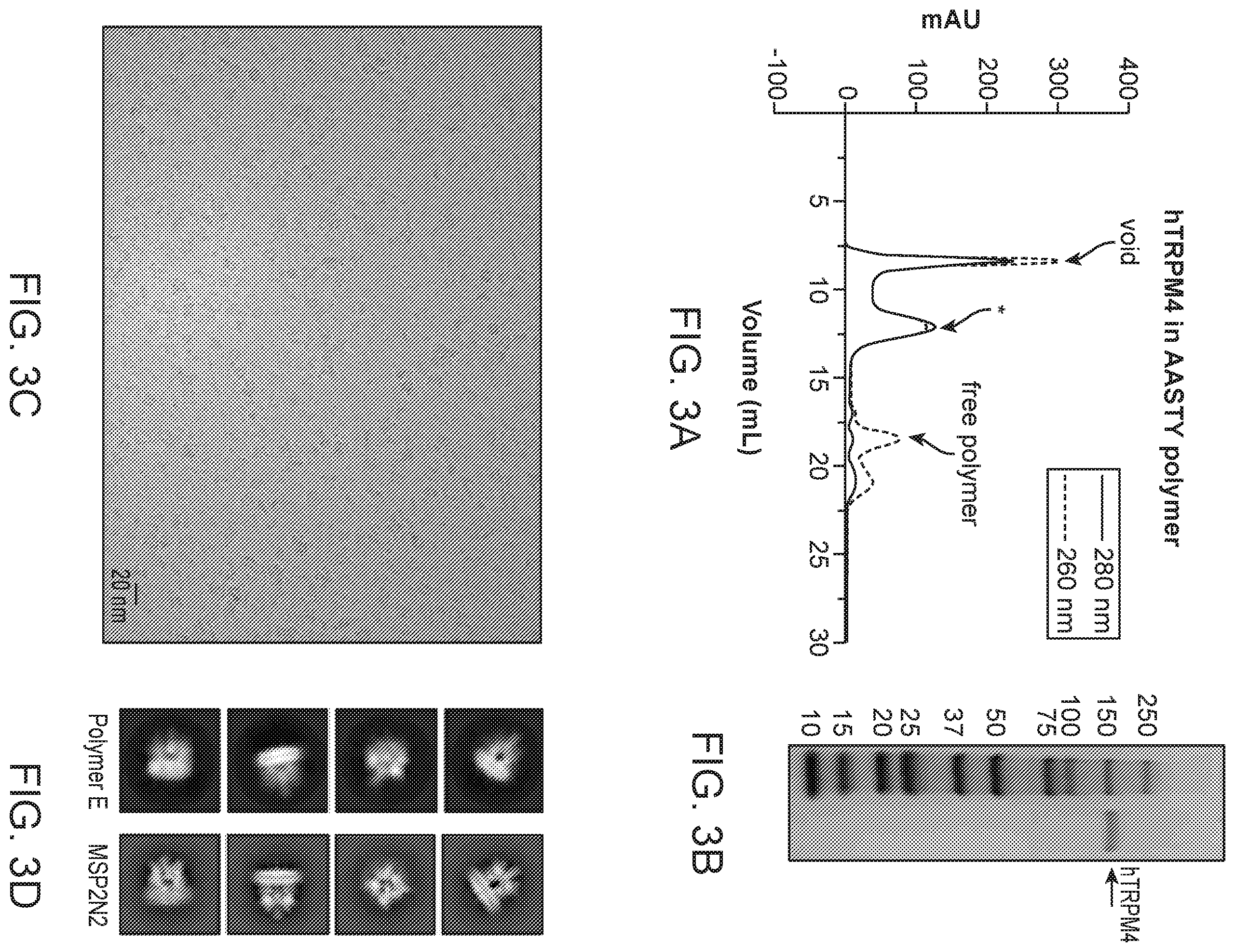 Patent US12378337 Figure 4 – Lipid nanodiscs solubilized through poly(acrylic acid-co-styrene) copolymers