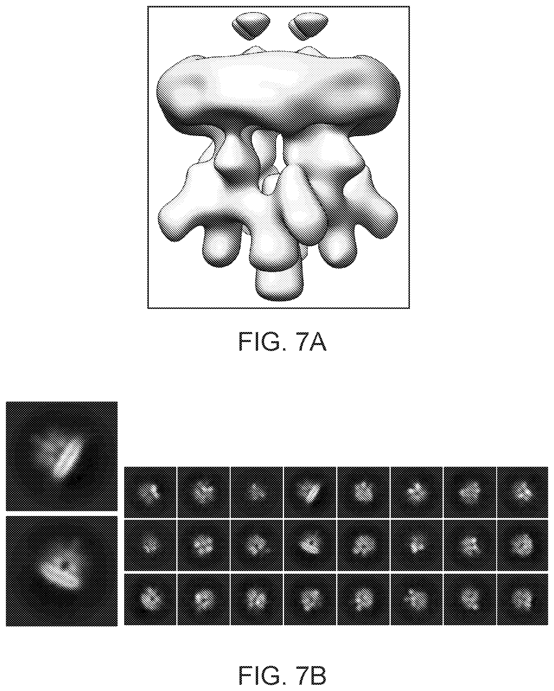 Patent US12378337 Figure 8 – Lipid nanodiscs solubilized through poly(acrylic acid-co-styrene) copolymers