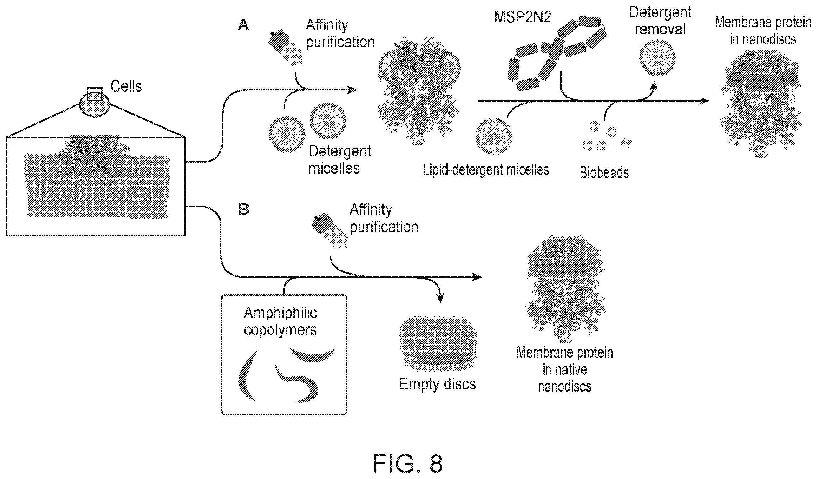 Patent US12378337 Figure 9 – Lipid nanodiscs solubilized through poly(acrylic acid-co-styrene) copolymers