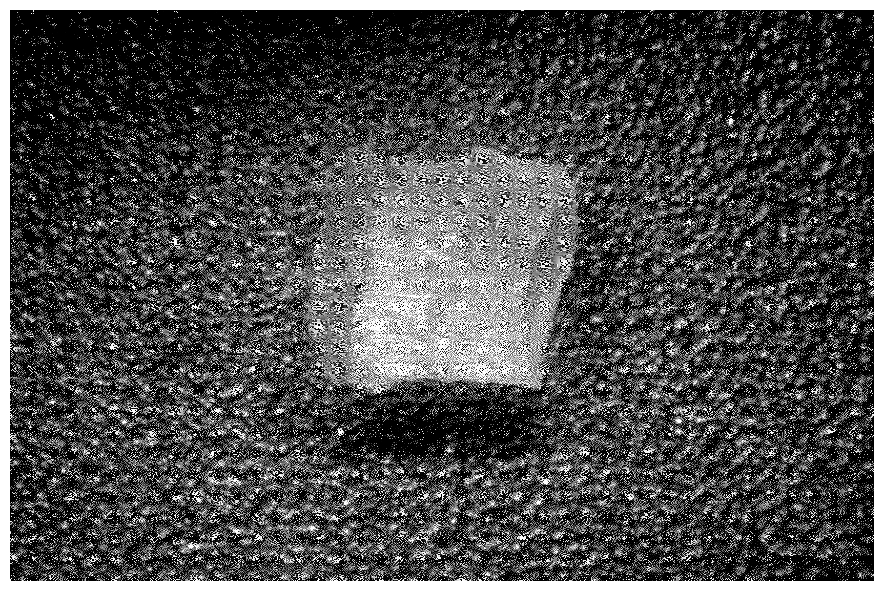 Patent US12378338 Figure 1 – Method for producing pellets