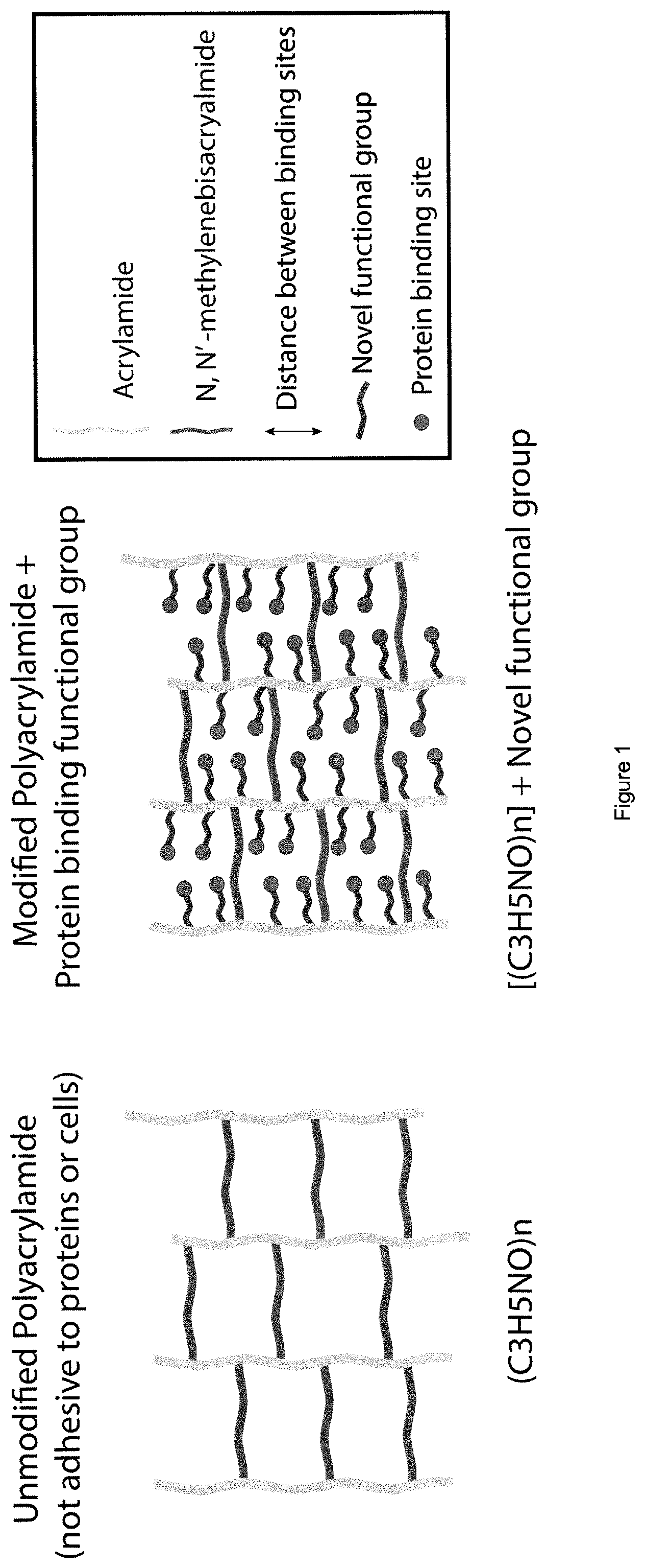 Patent US12378341 Figure 1 – Tuneable cell substrates