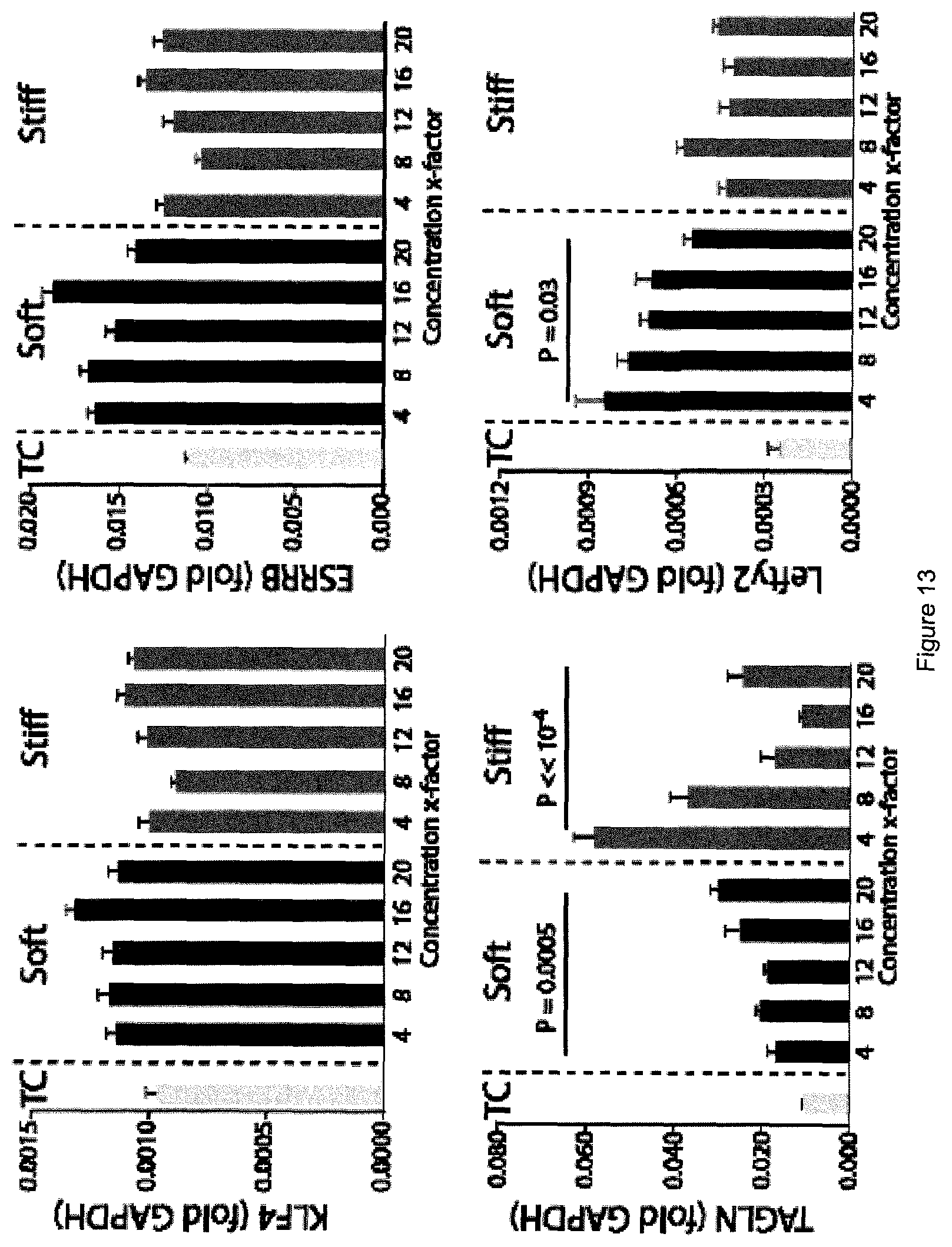 Patent US12378341 Figure 14 – Tuneable cell substrates