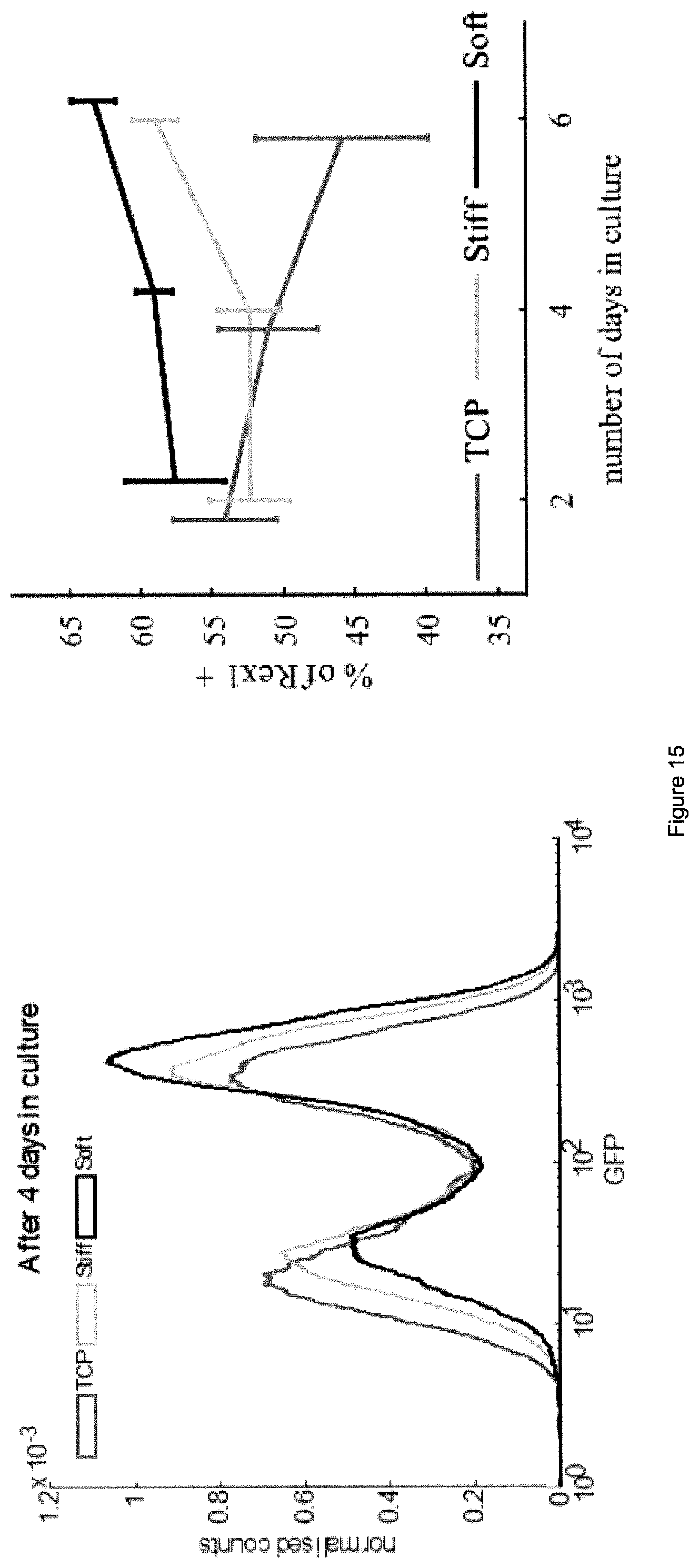 Patent US12378341 Figure 16 – Tuneable cell substrates