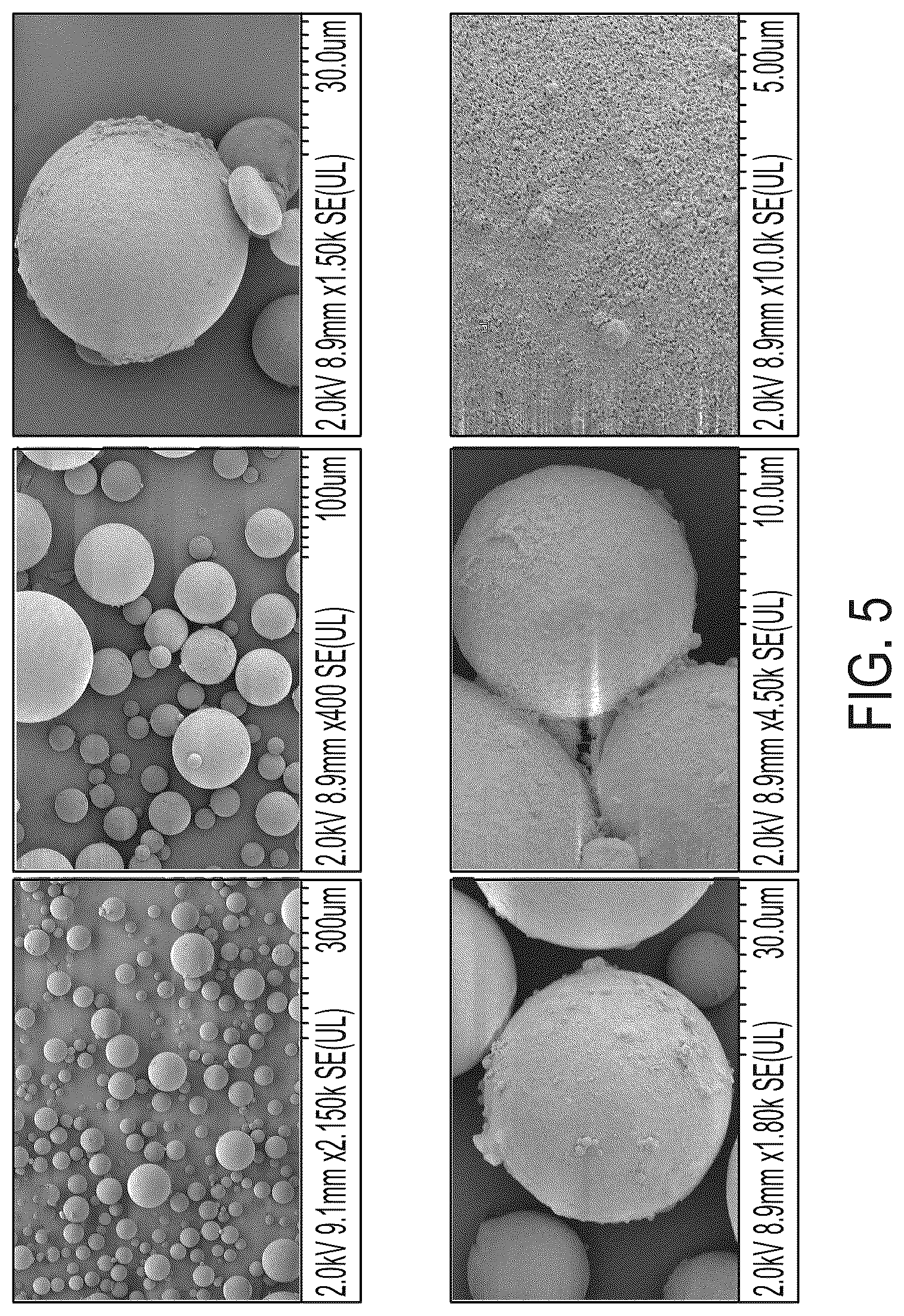 Patent US12378360 Figure 5 – Polyamide particles and methods of production and uses thereof