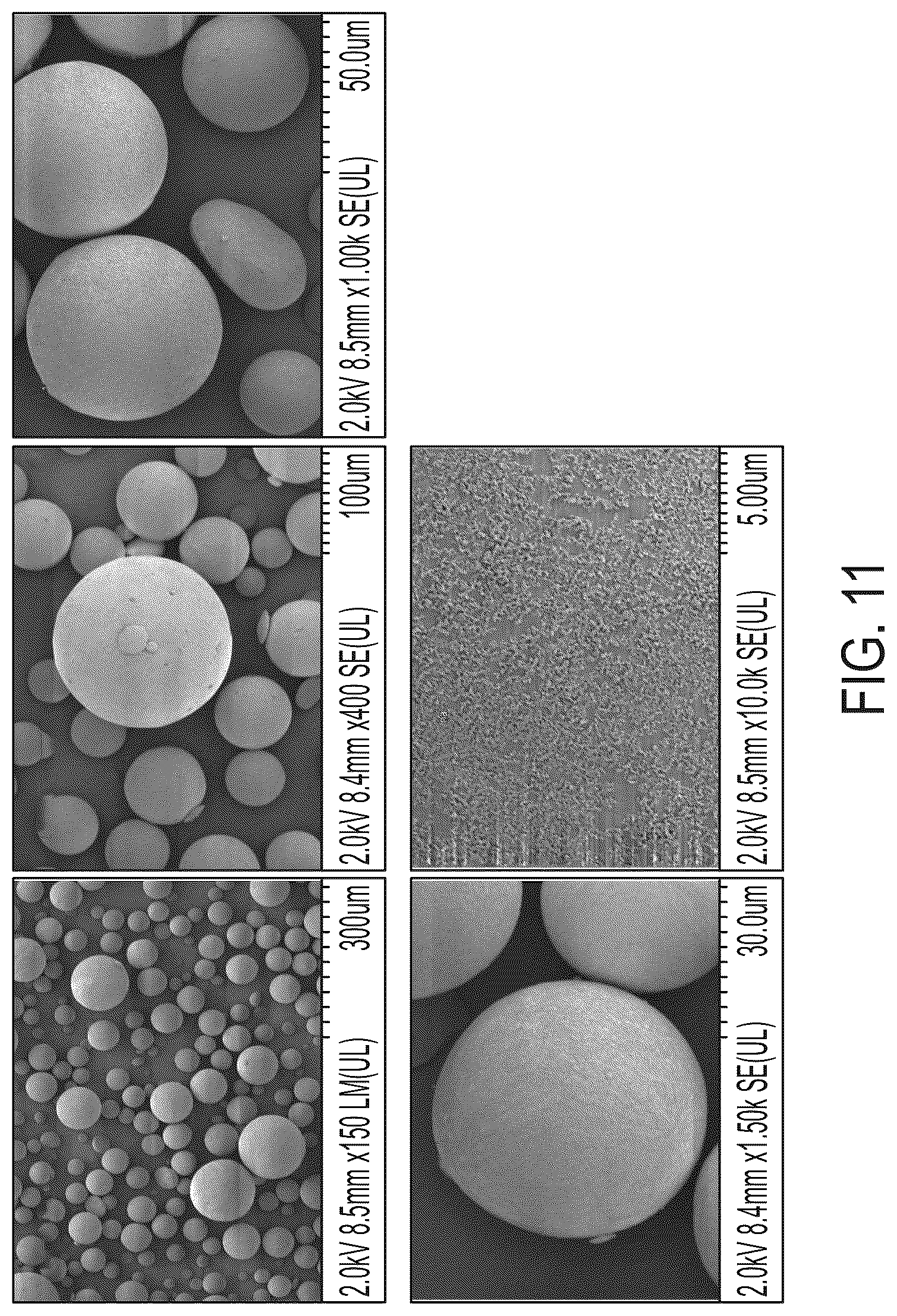 Patent US12378360 Figure 11 – Polyamide particles and methods of production and uses thereof